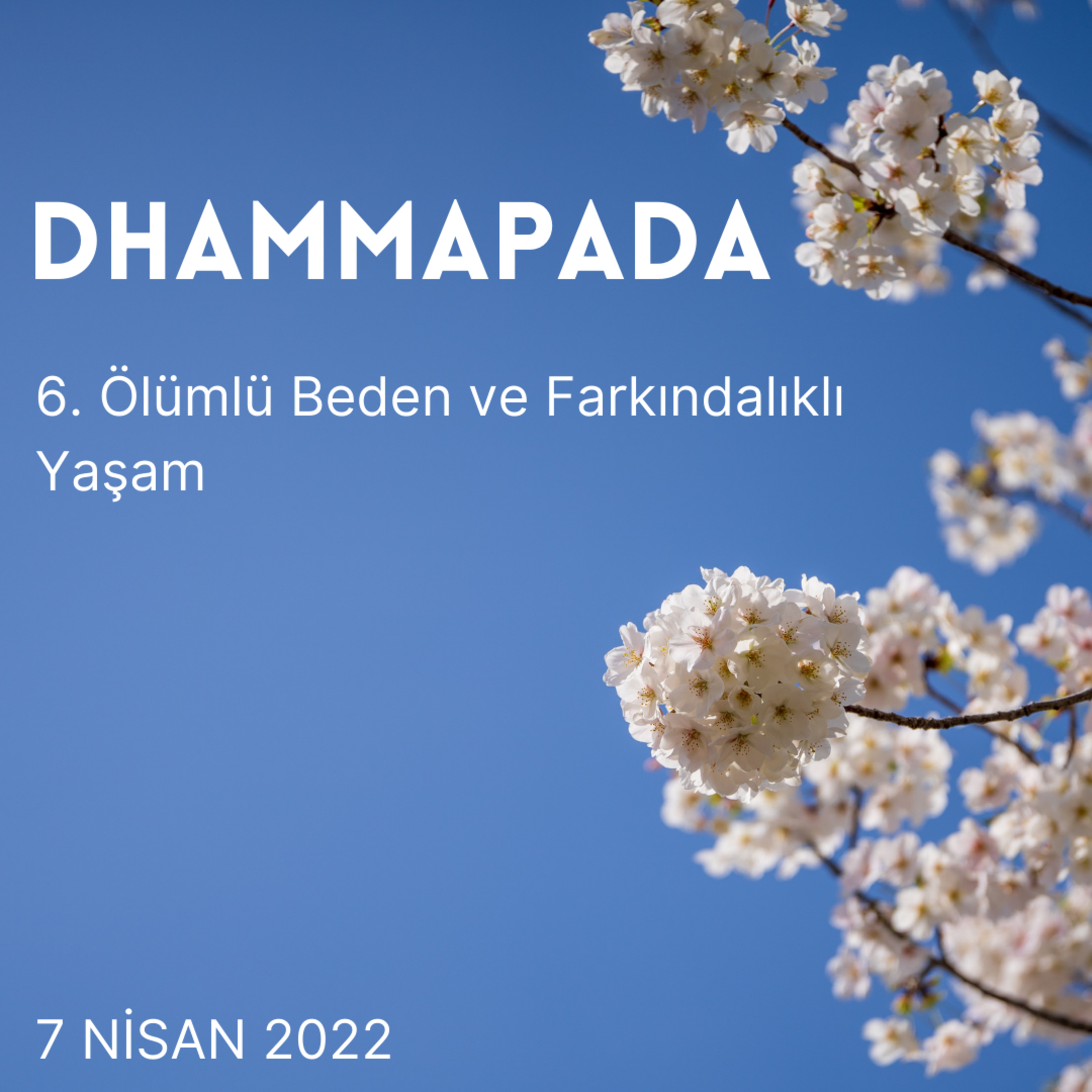 6 - Dhammapada - Ölümlü Beden ve Farkındalıklı Yaşam  episode artwork