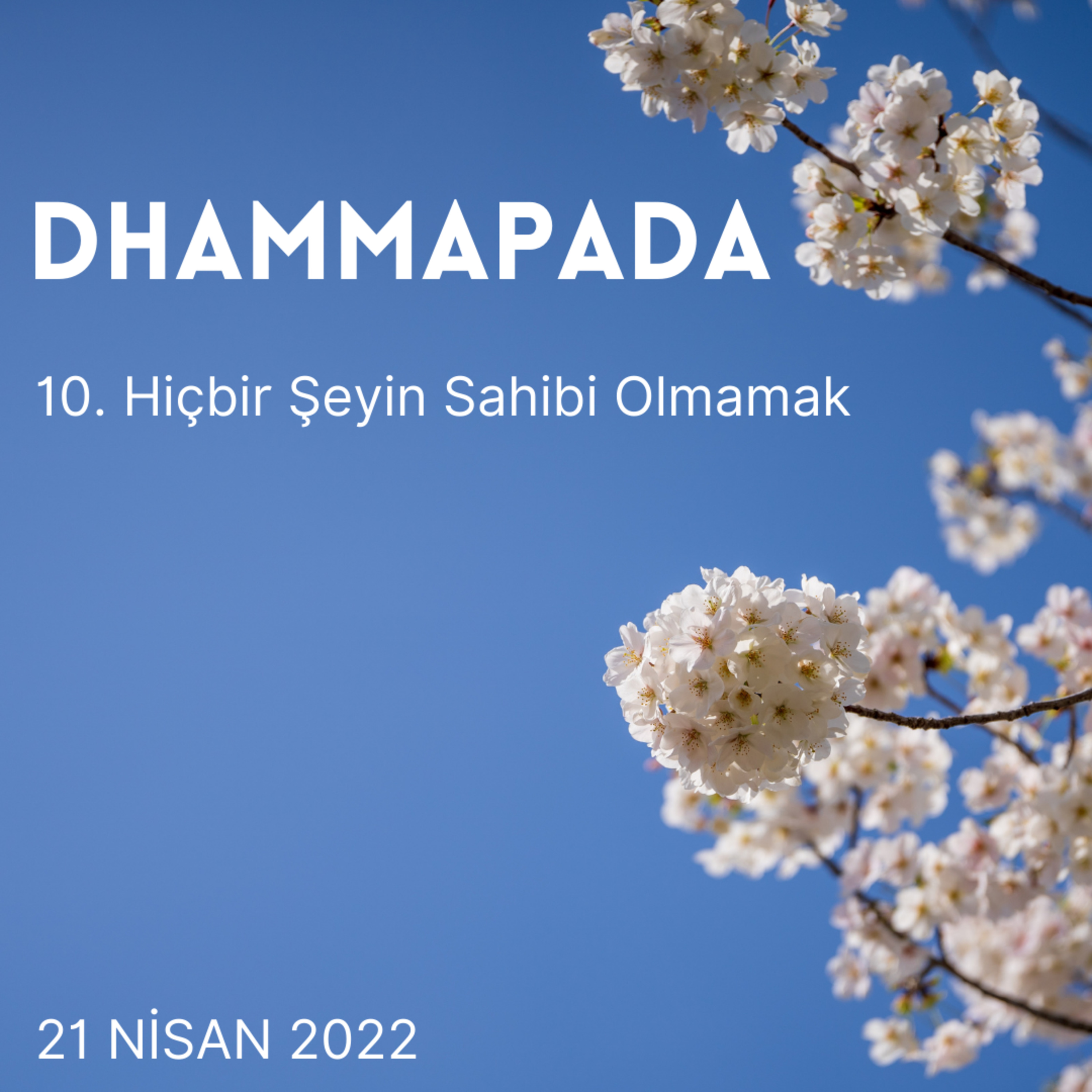 10 - Dhammapada – Hiçbir Şeyin Sahibi Olmamak episode artwork