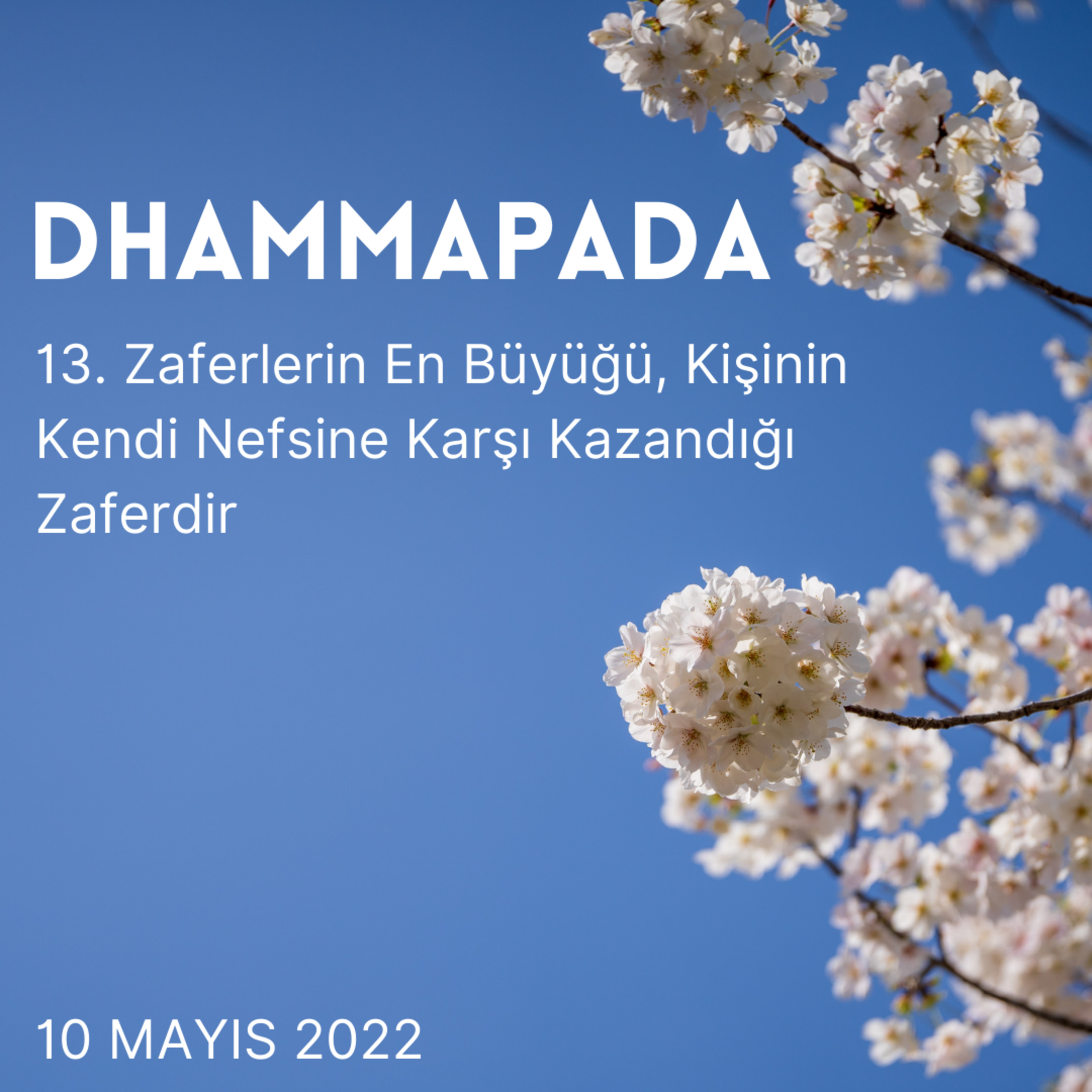 13 – Dhammapada - Zaferlerin En Büyüğü, Kişinin Kendi Nefsine Karşı Kazandığı Zaferdir episode artwork