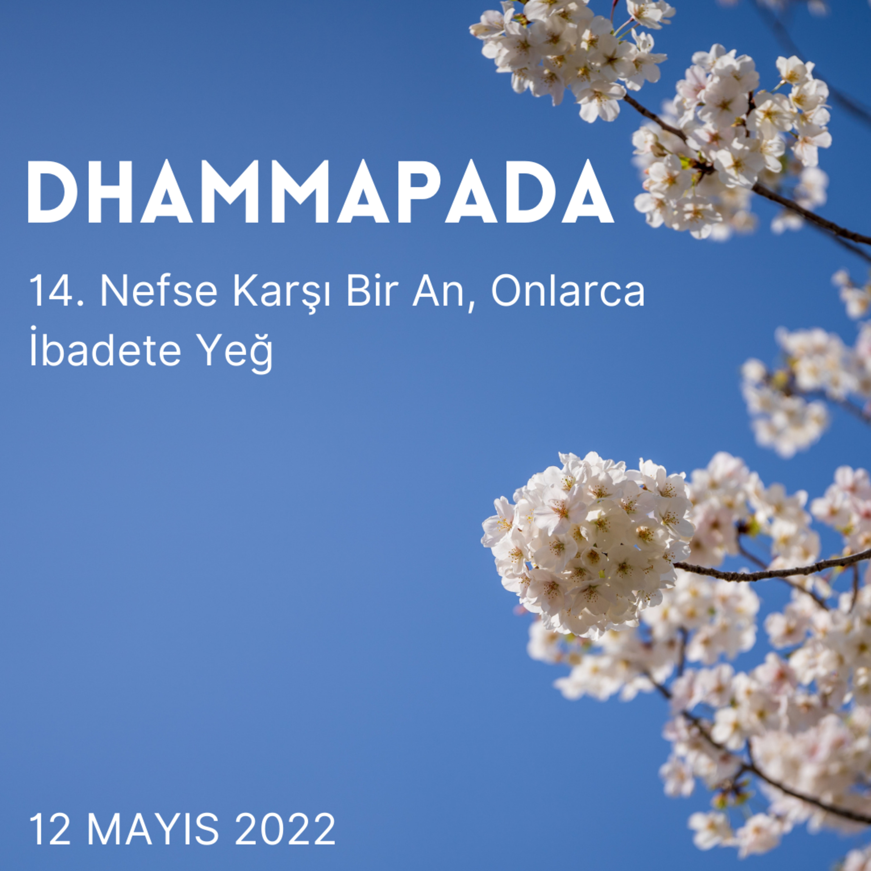 14 – Dhammapada - Nefse Karşı Bir An, Onlarca İbadete Yeğ episode artwork