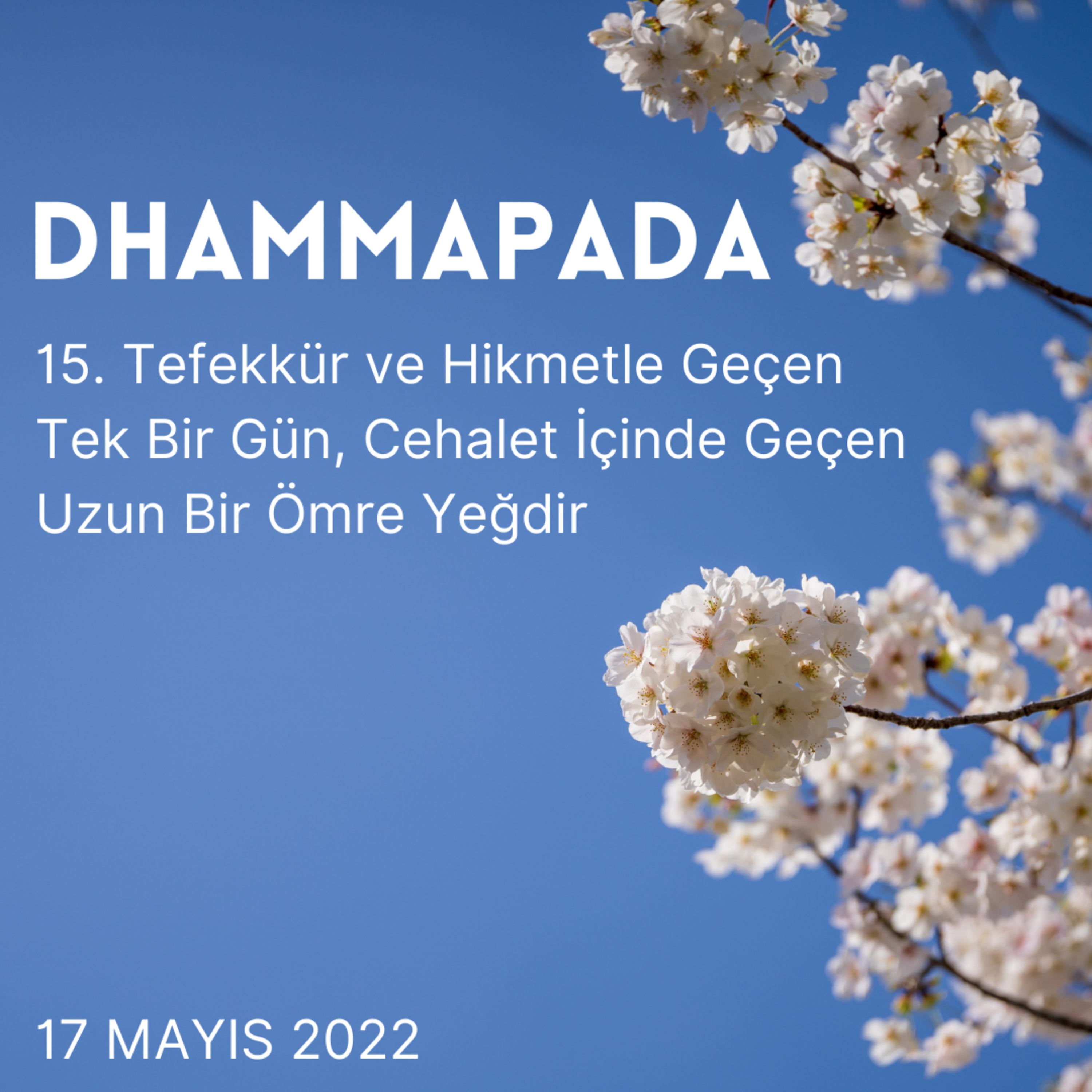 15 - Dhammapada - Tefekkür ve Hikmetle Geçen Tek Bir Gün, Cehalet İçinde Geçen Uzun Bir Ömre Yeğdir episode artwork