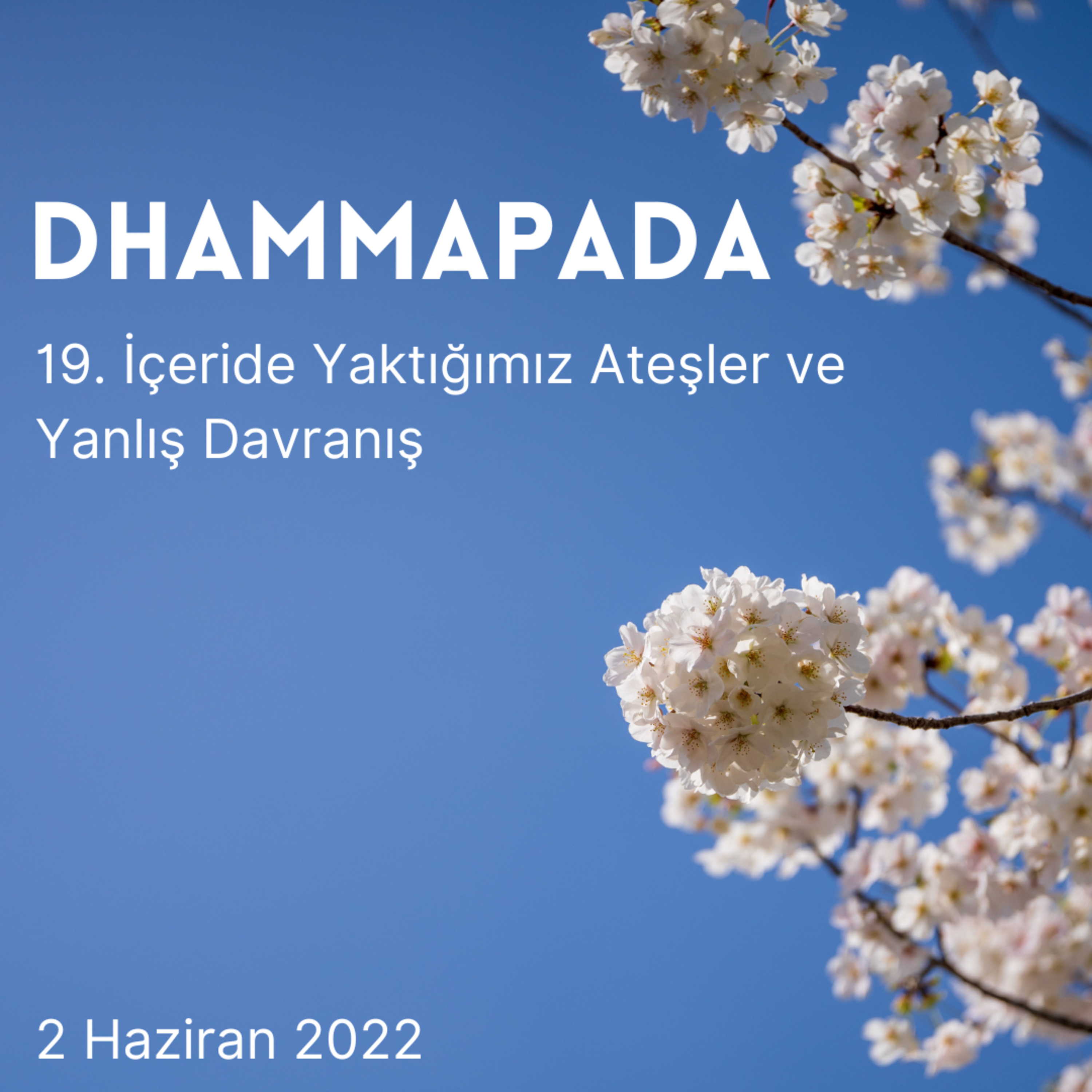 19 – Dhammapada – İçeride Yaktığımız Ateşler ve Yanlış Davranış episode artwork