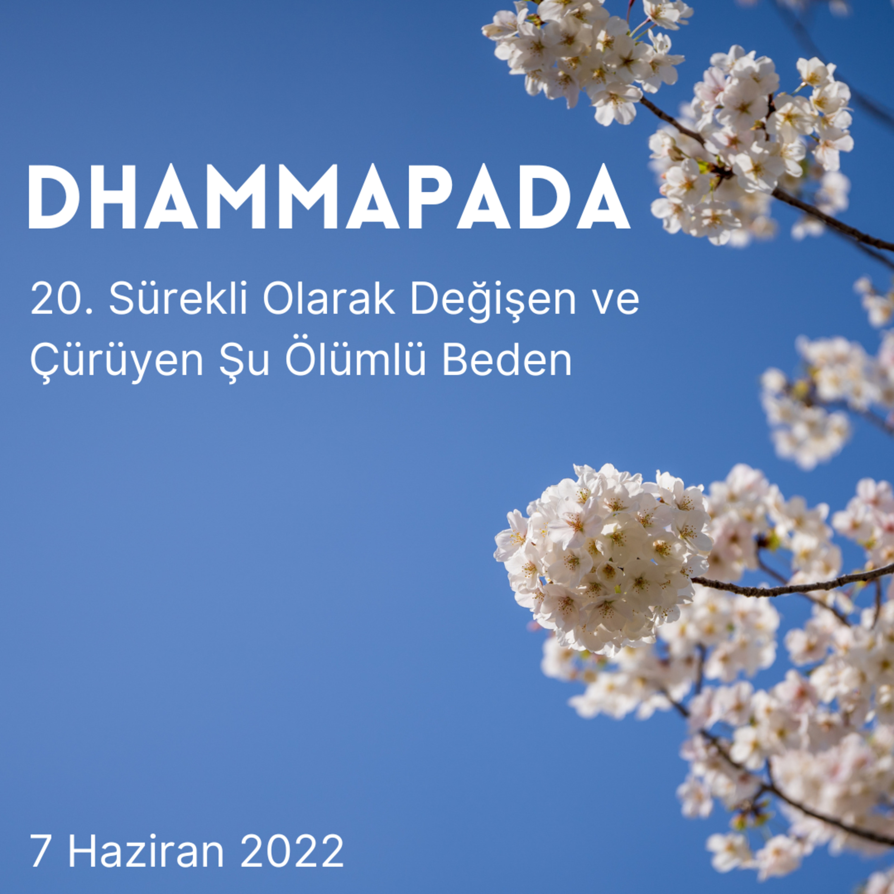 20 - Dhammapada - Sürekli Olarak Değişen ve Çürüyen Şu Ölümlü Beden  episode artwork