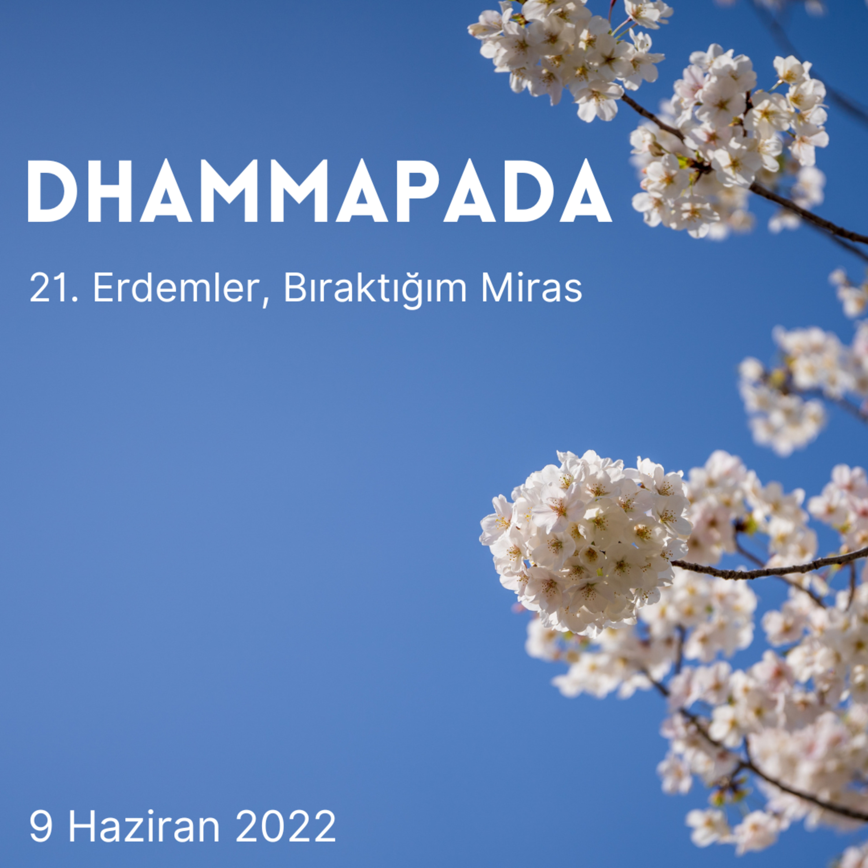21 - Dhammapada - Erdemler, Bıraktığım Miras episode artwork