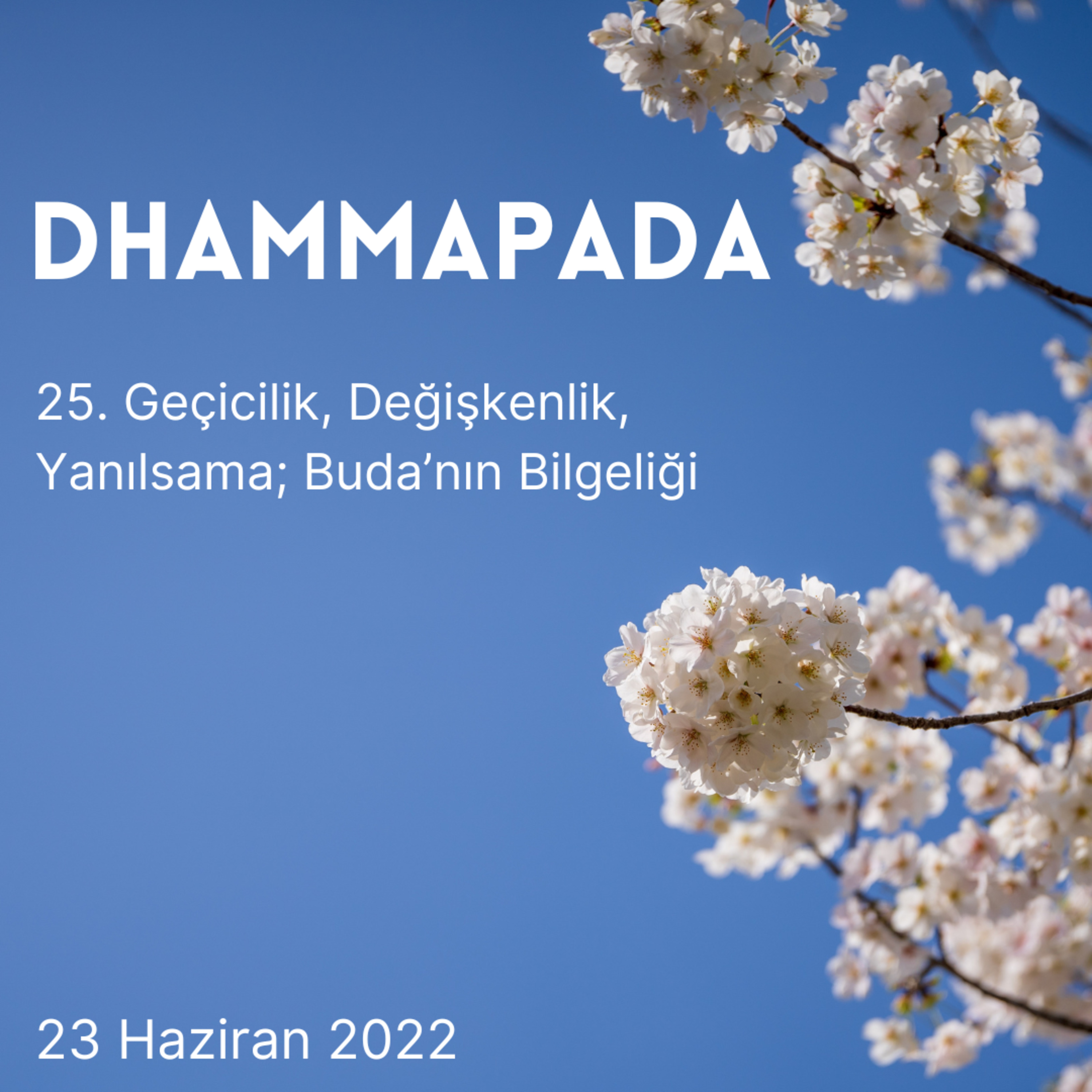 Damla Dönmez ile Yoga