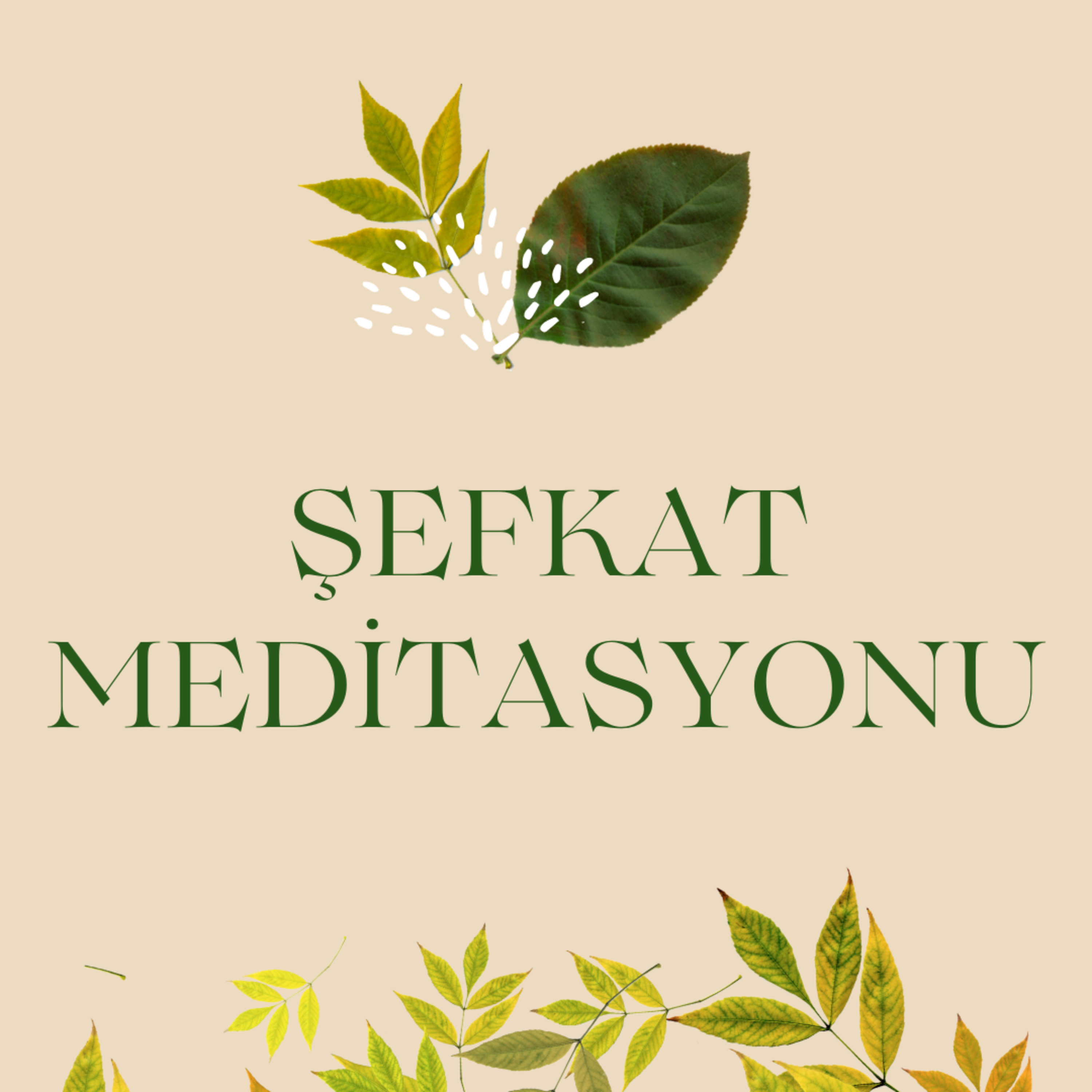 ŞEFKAT MEDİTASYONU episode artwork
