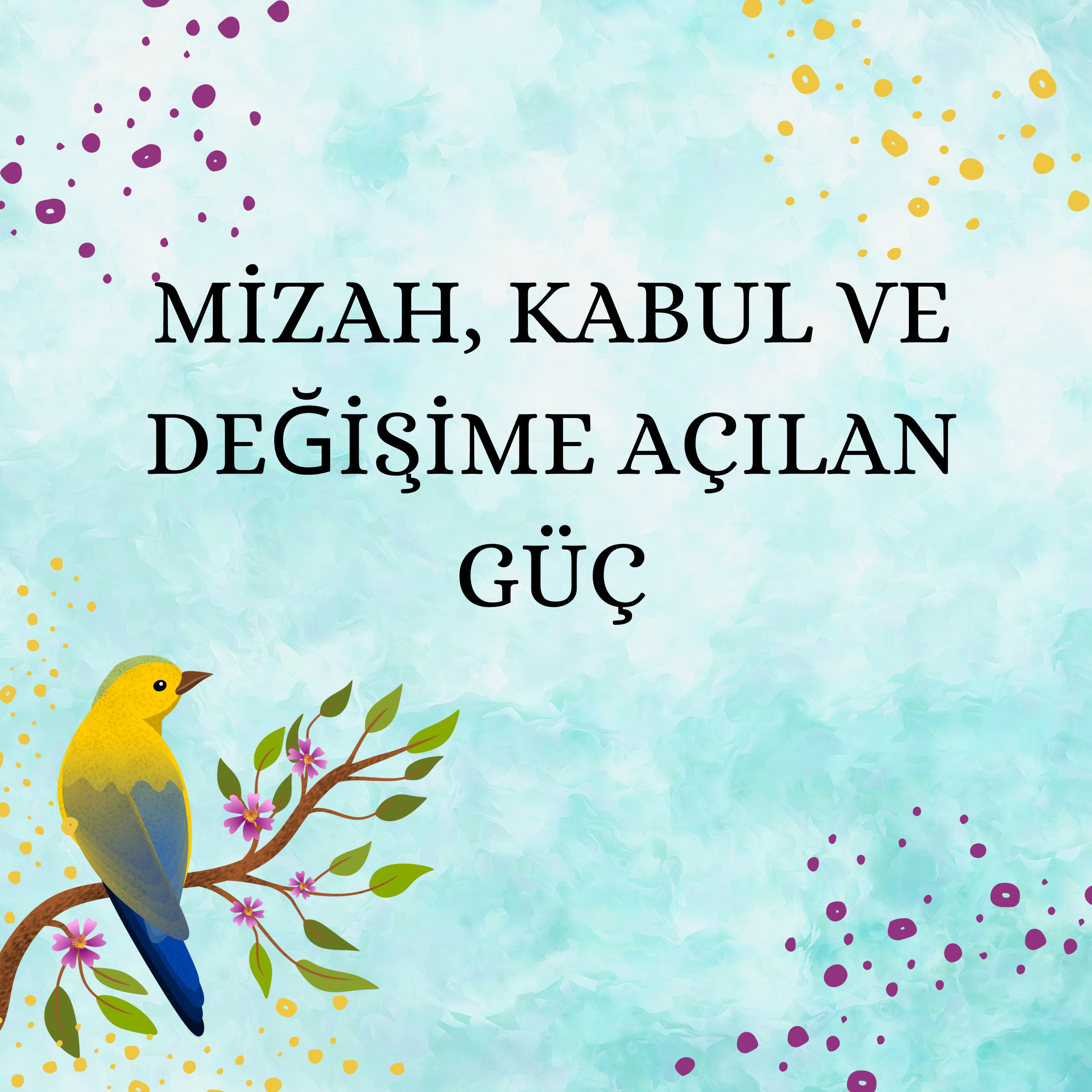 Mutluluğun Kitabı 9 - Mizah, Kabul, Değişime Açılan Kapı episode artwork