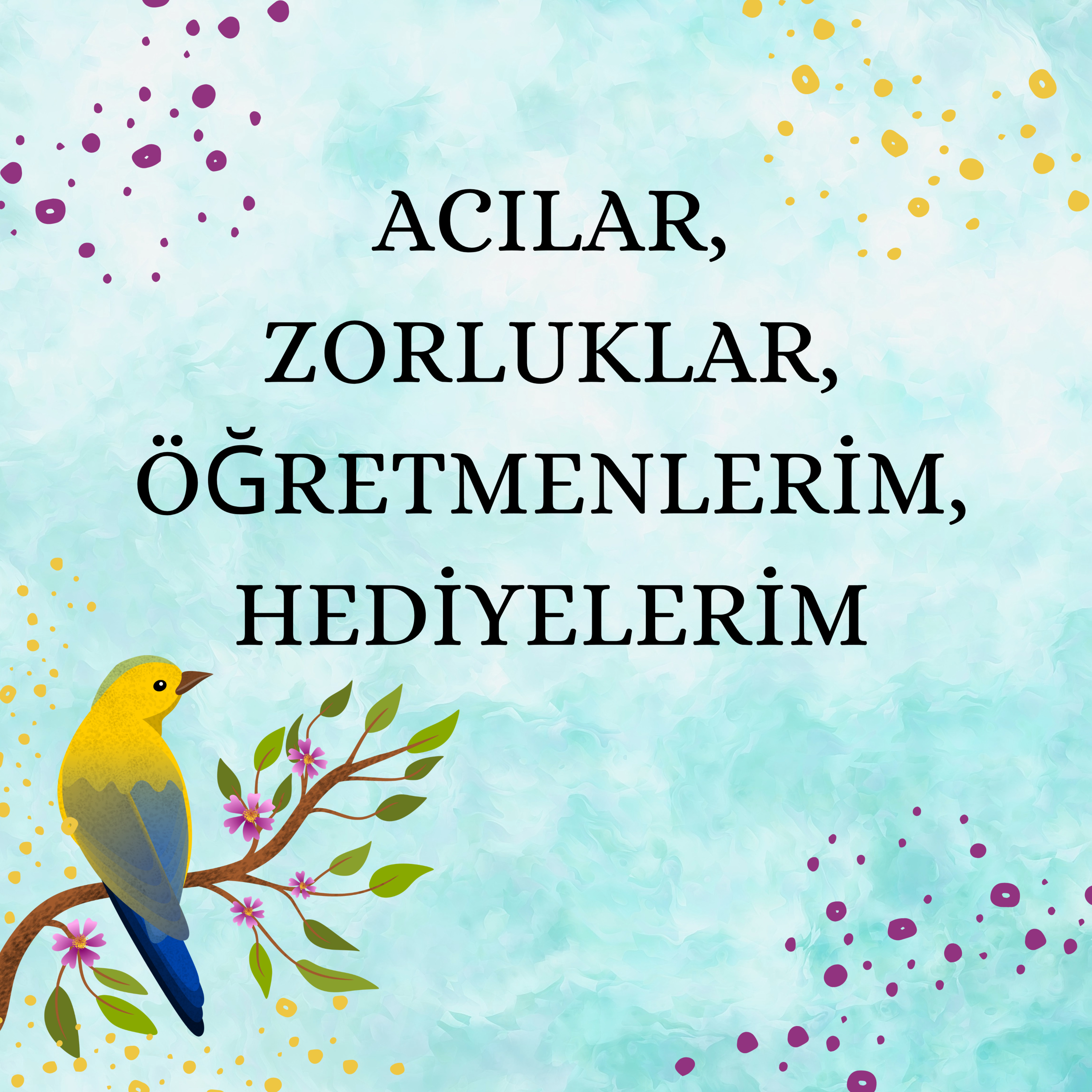 Mutluluğun Kitabı 11 - Acılar, Zorluklar, Öğretmenlerim, Hediyelerim episode artwork