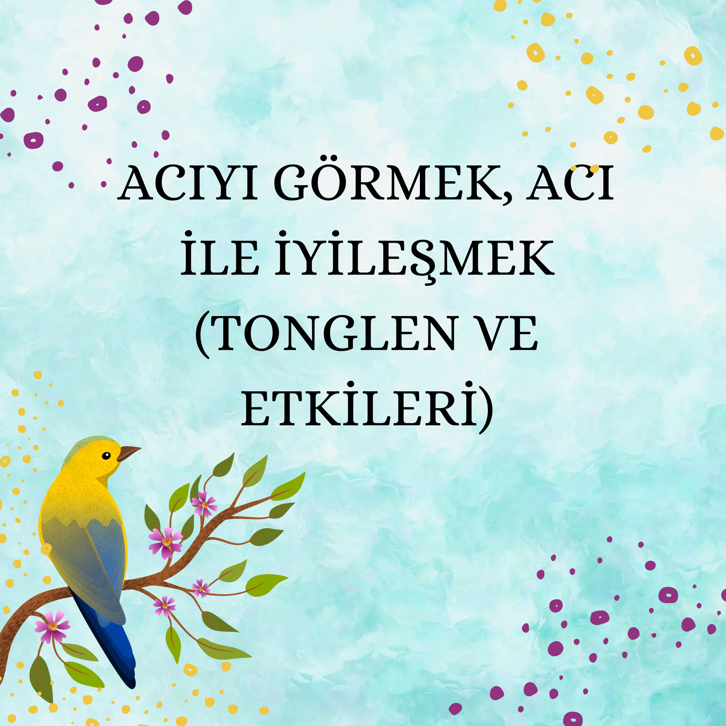 Mutluluğun Kitabı 12 - Acıyı Görmek, Acı ile İyileşmek (Tonglen & Etkileri) episode artwork