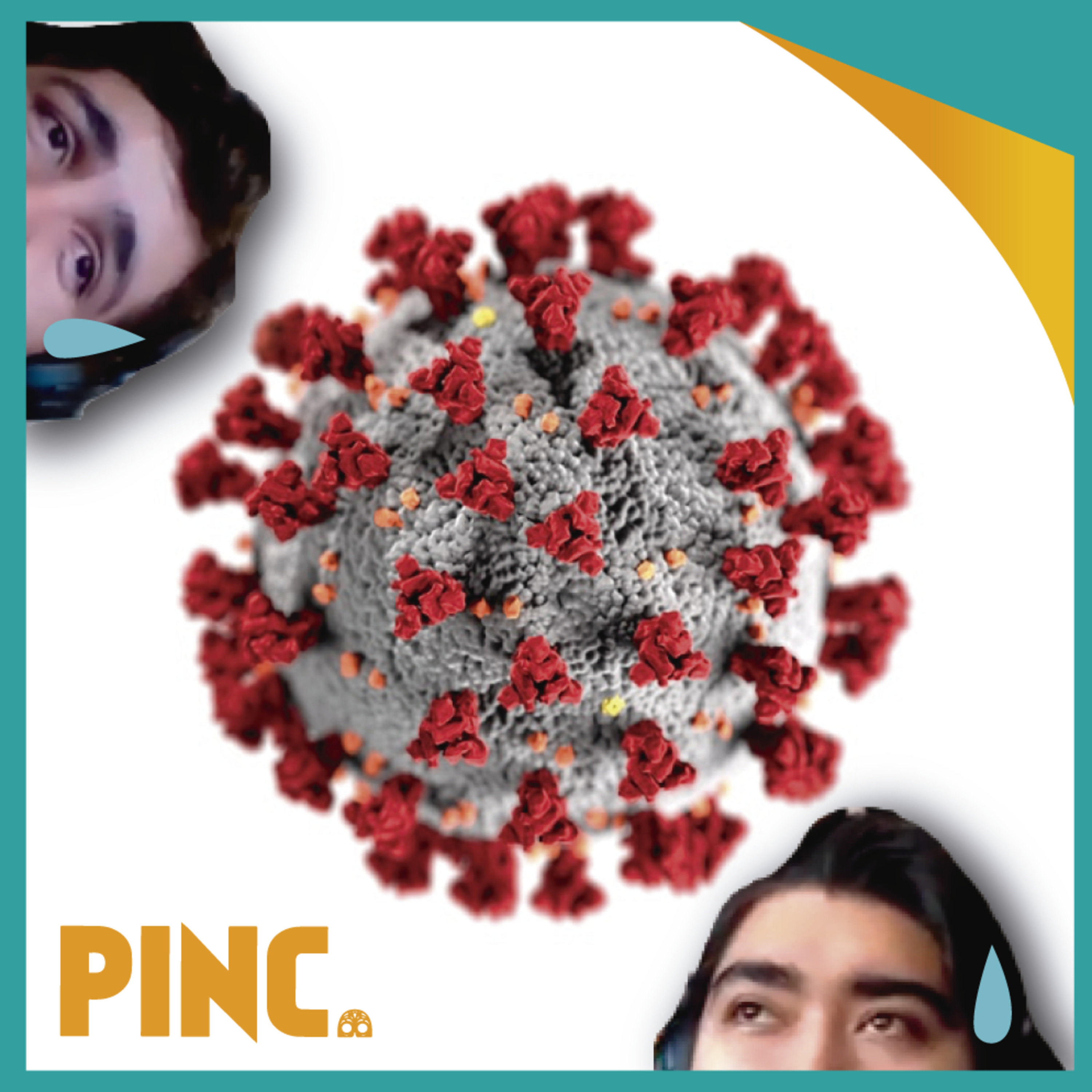 PINC.