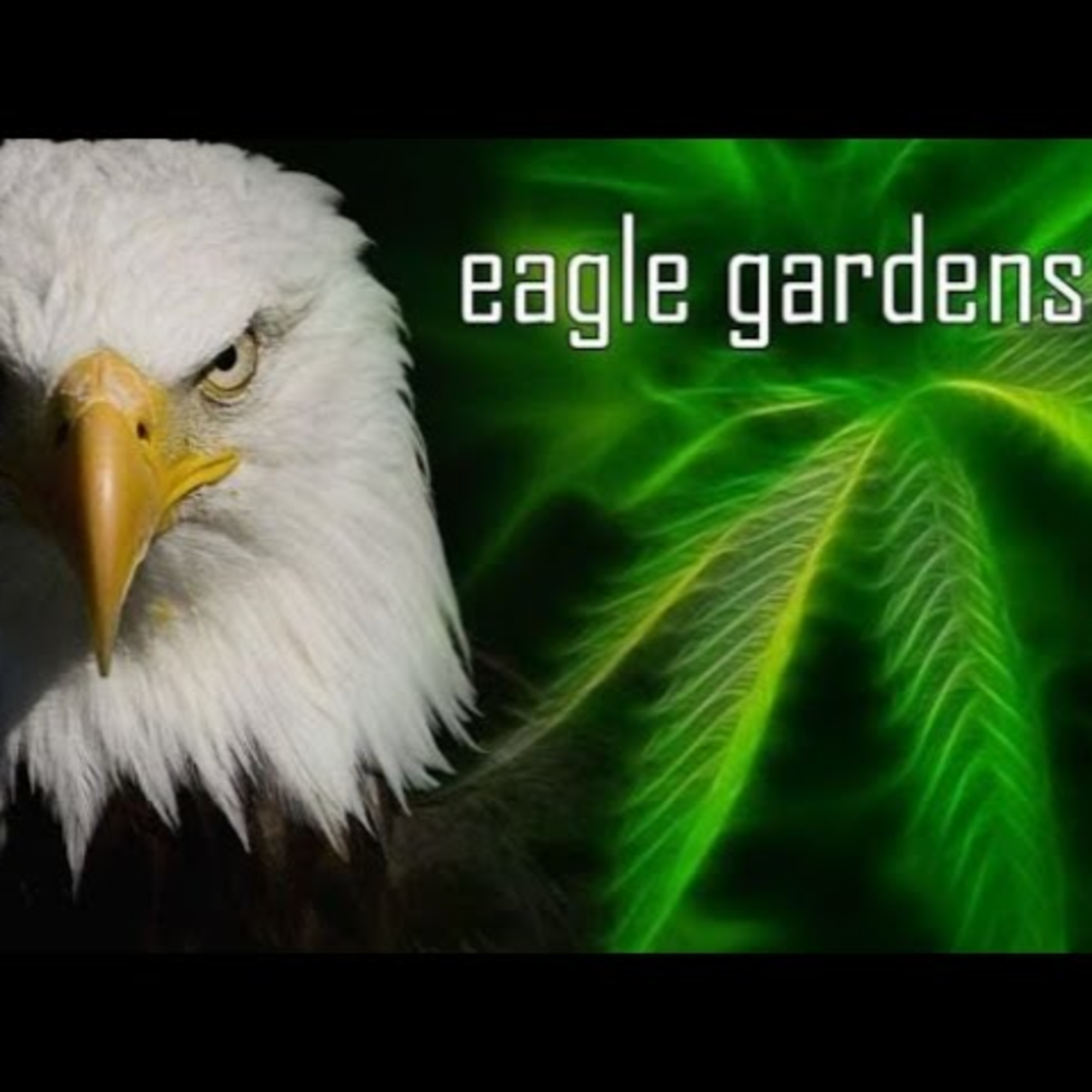 F*$kin Talkin Shit With Eagle Ep634 ft Strangely Rooted episode artwork