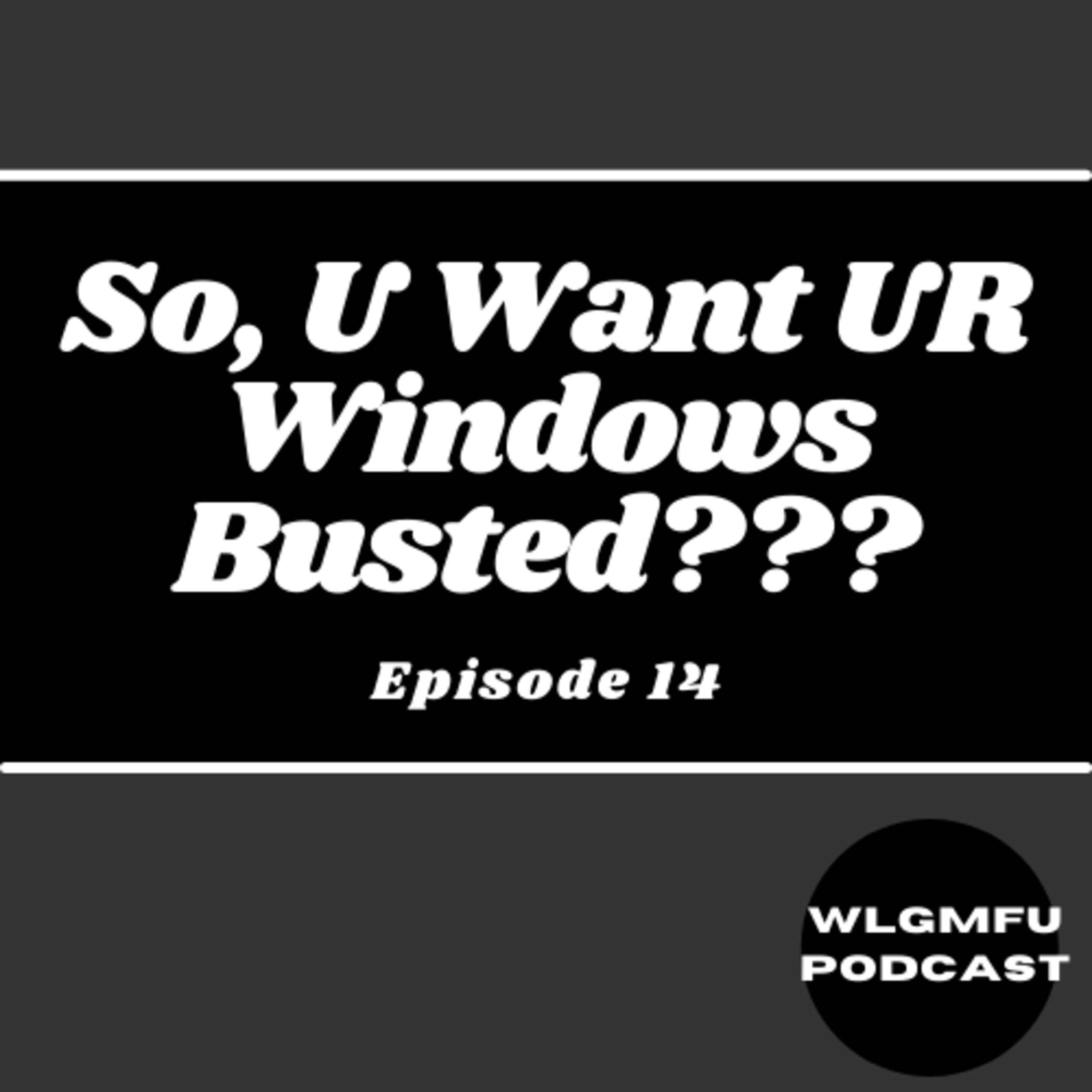So, U Want UR Windows Busted??? episode artwork