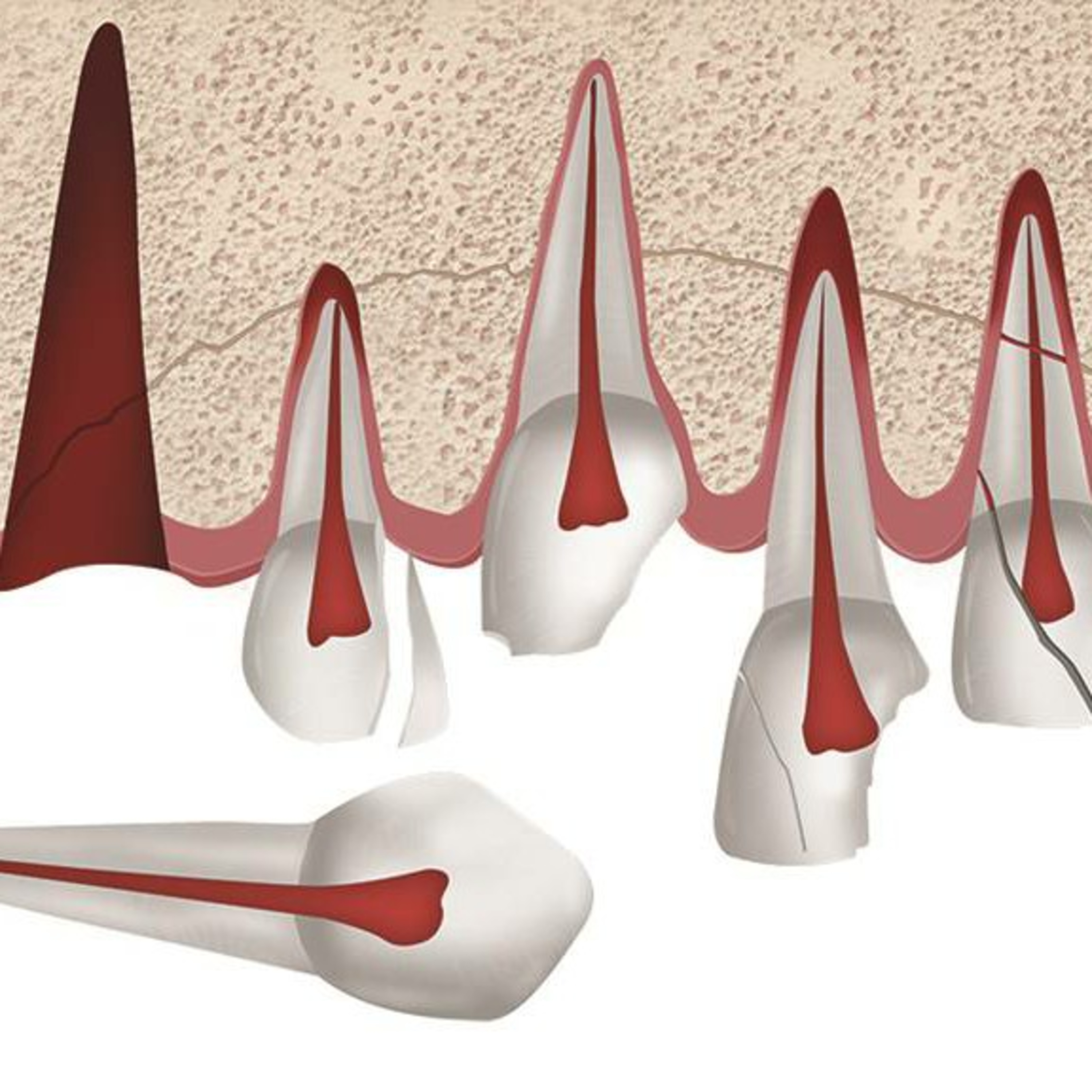 1. TRAUMATISMOS DENTÁRIOS: CONCEITOS E CONTEXTO episode artwork