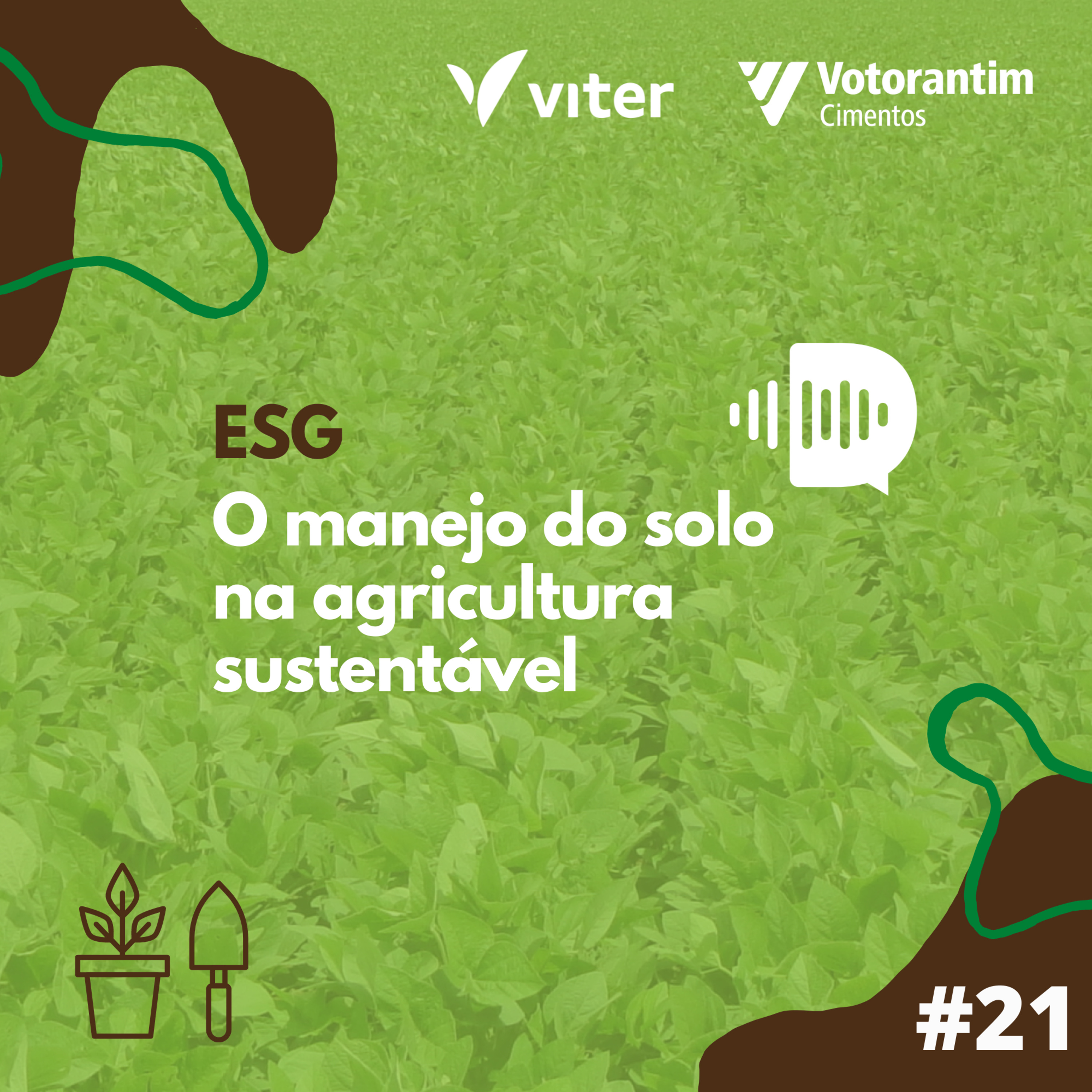 Diálogos VC
