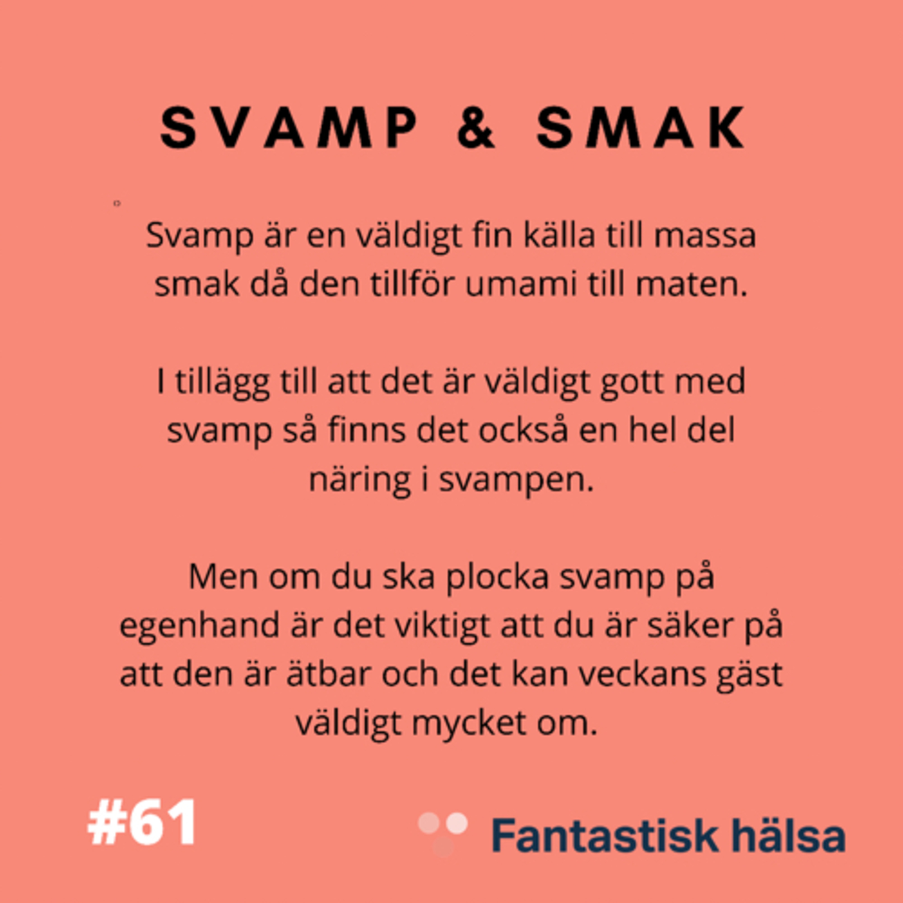 #61 Svamp & Smak - Inger-Lise Østmoe: Svampkonsulent & Nyttoväxt expert  episode artwork