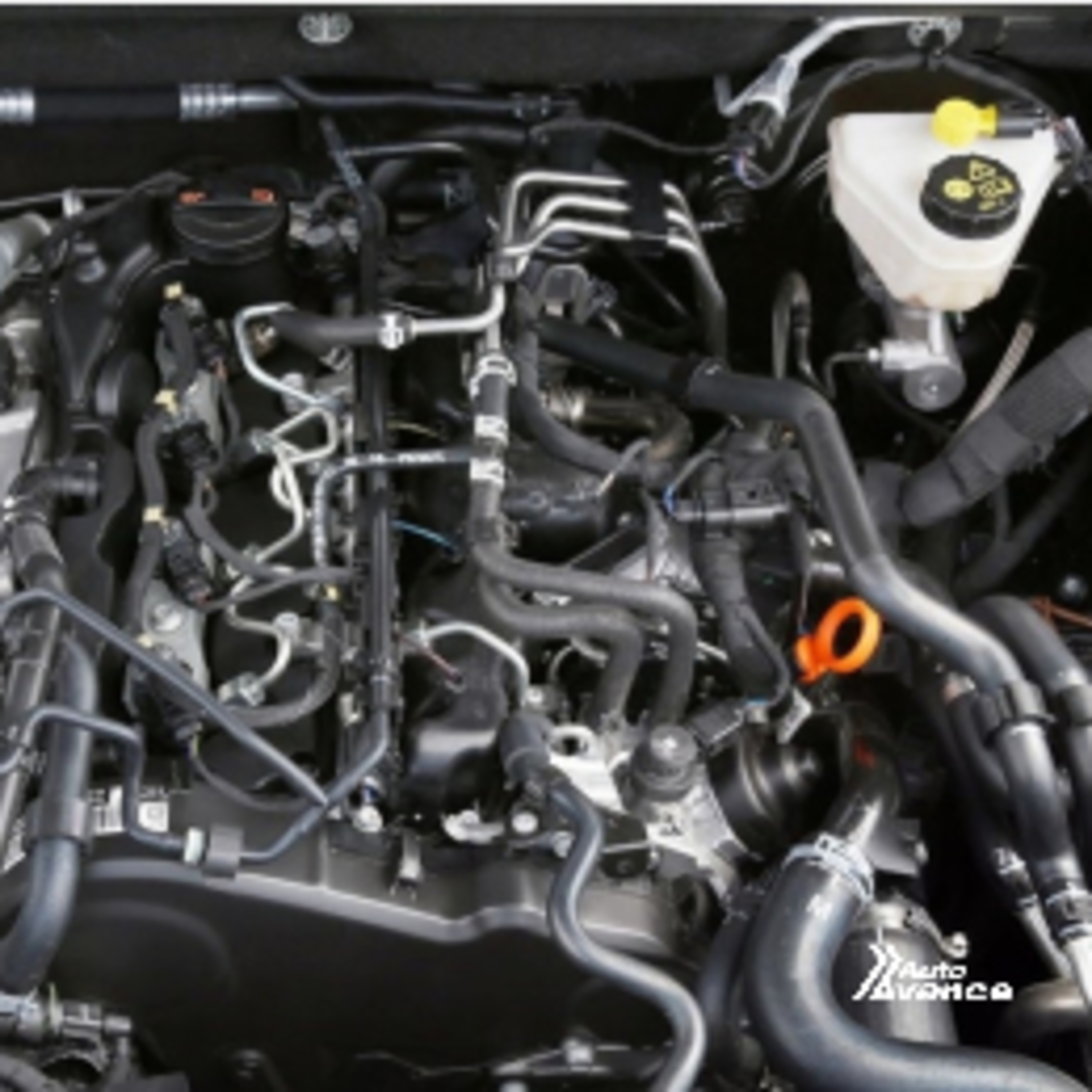 Auto Avance