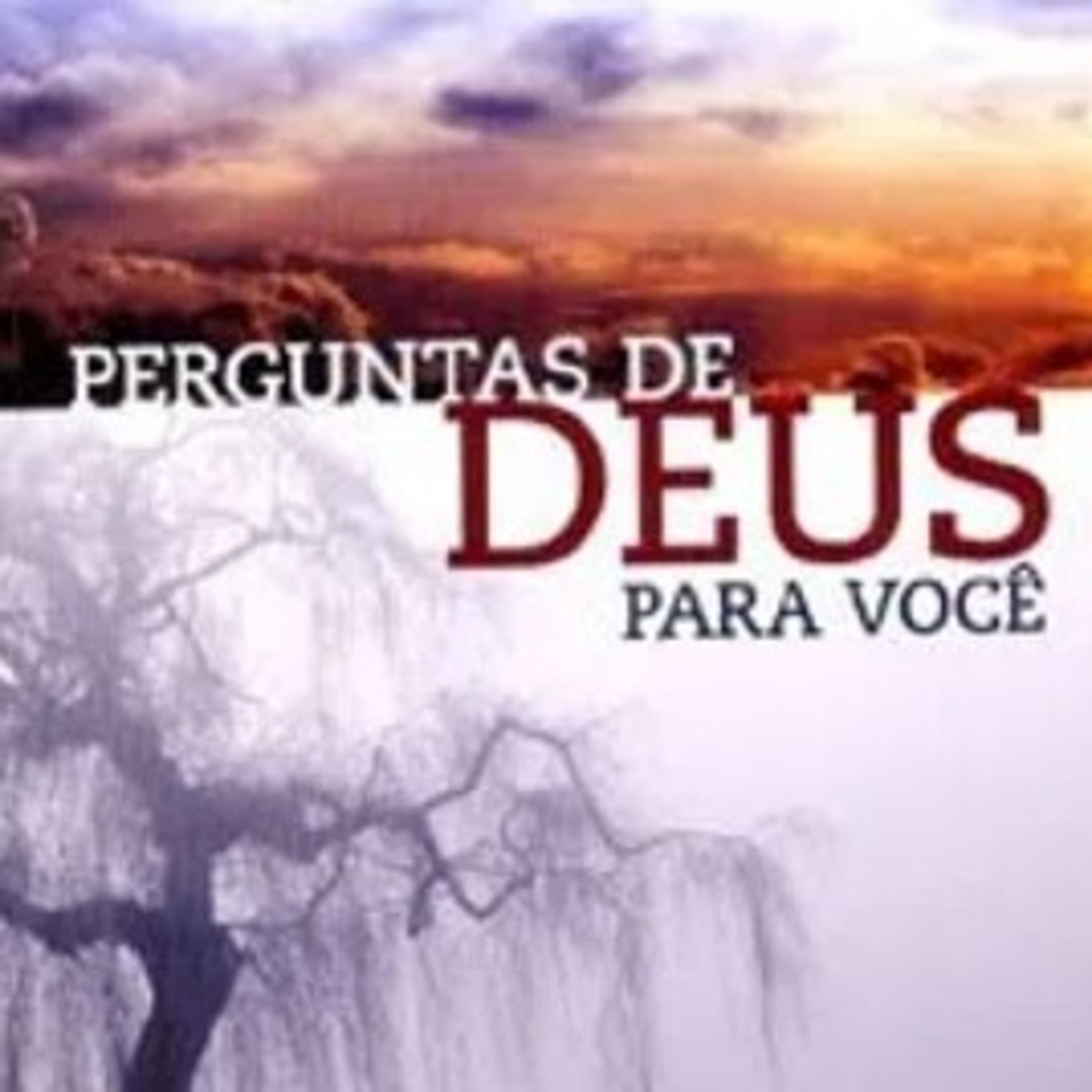 Meditações e Pregações