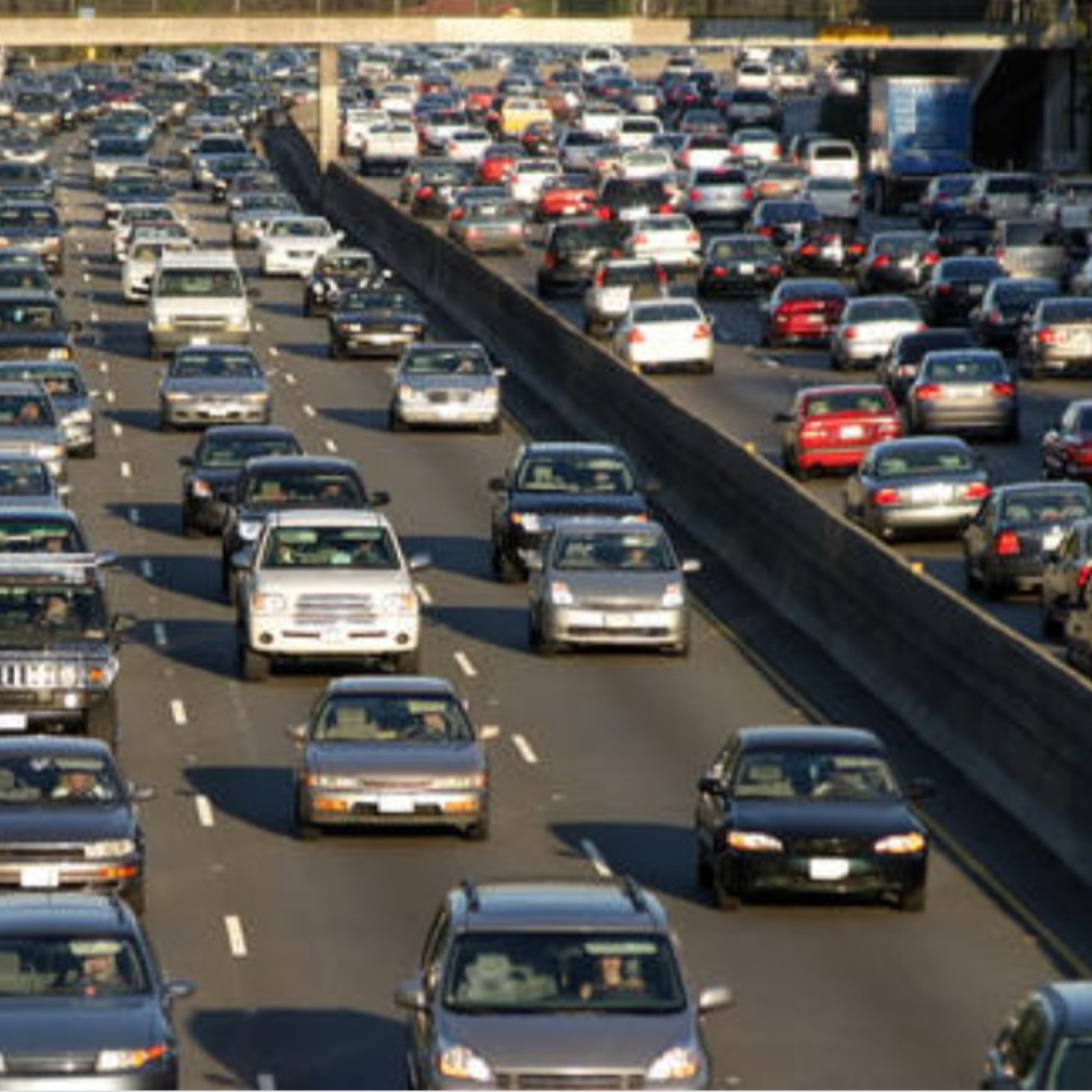 Maryland ASS Drivers