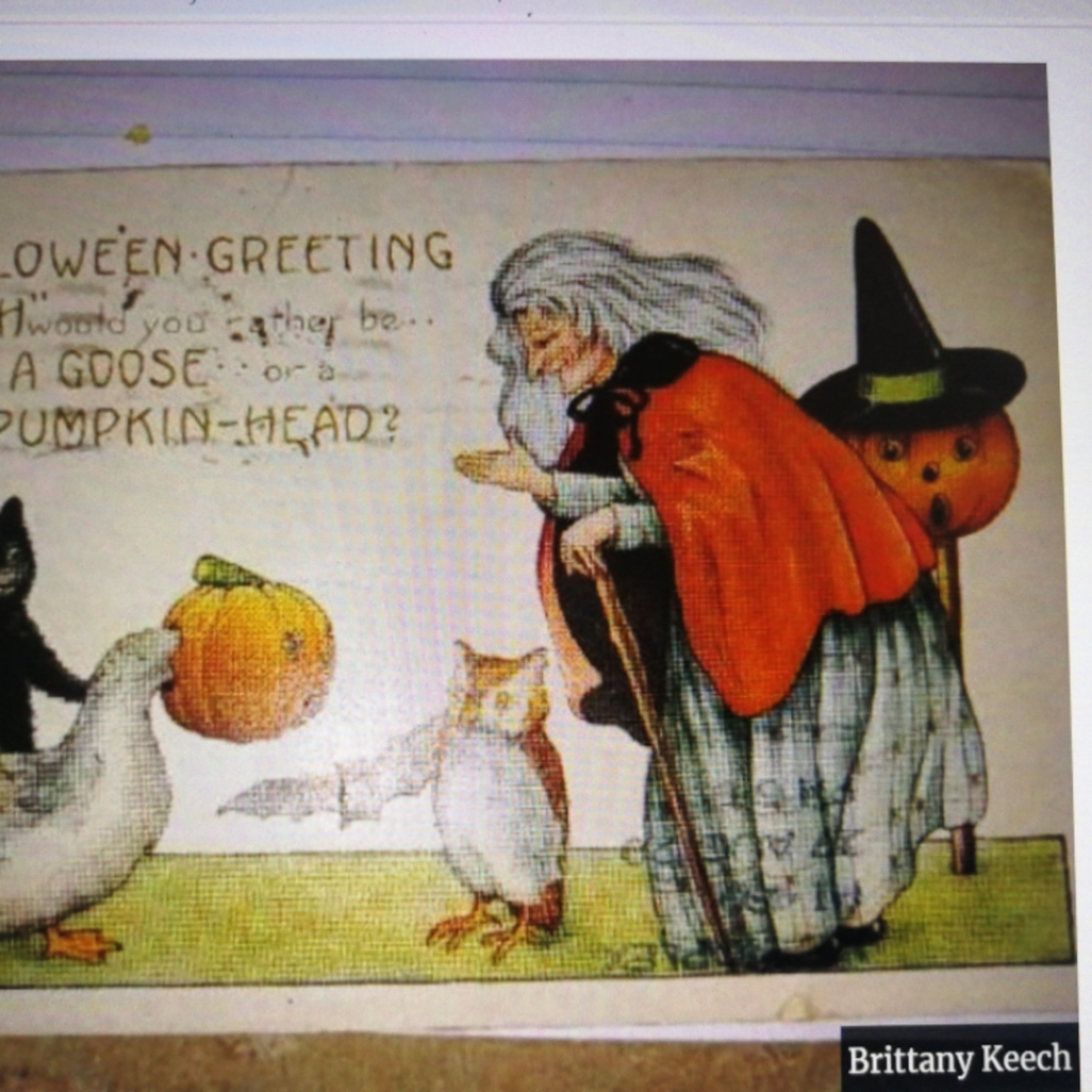 Postcard Arrives In Mail Almost 100 Years