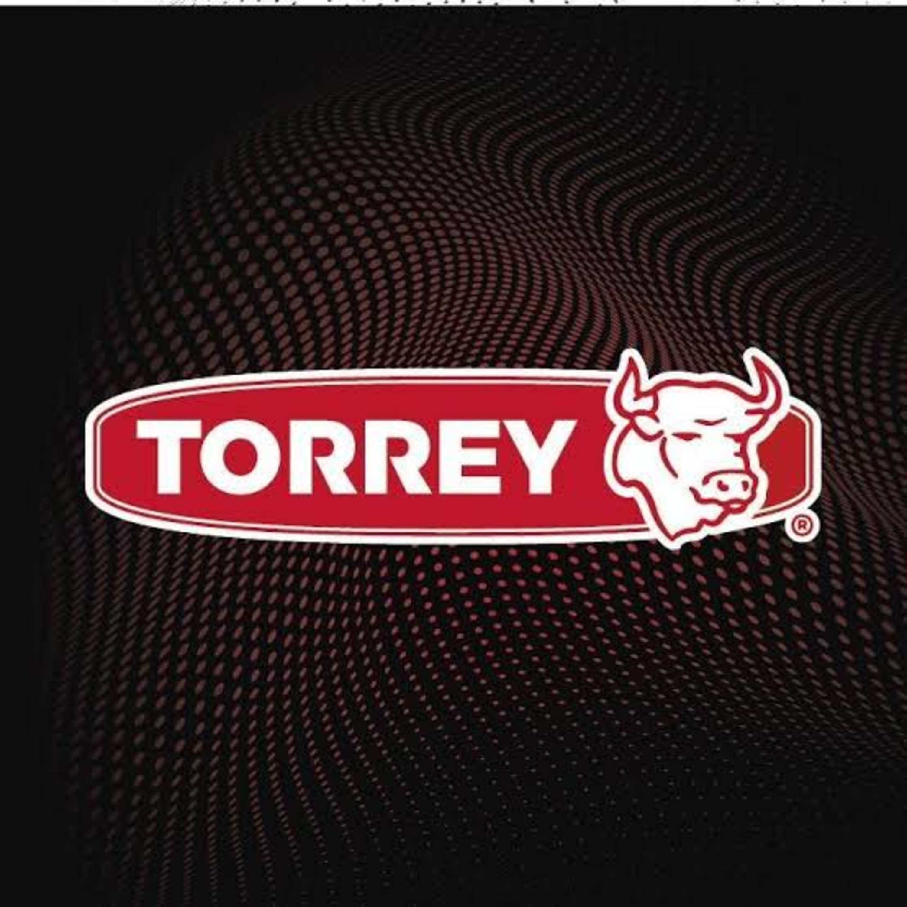 Torrey soluciones integrales episode artwork