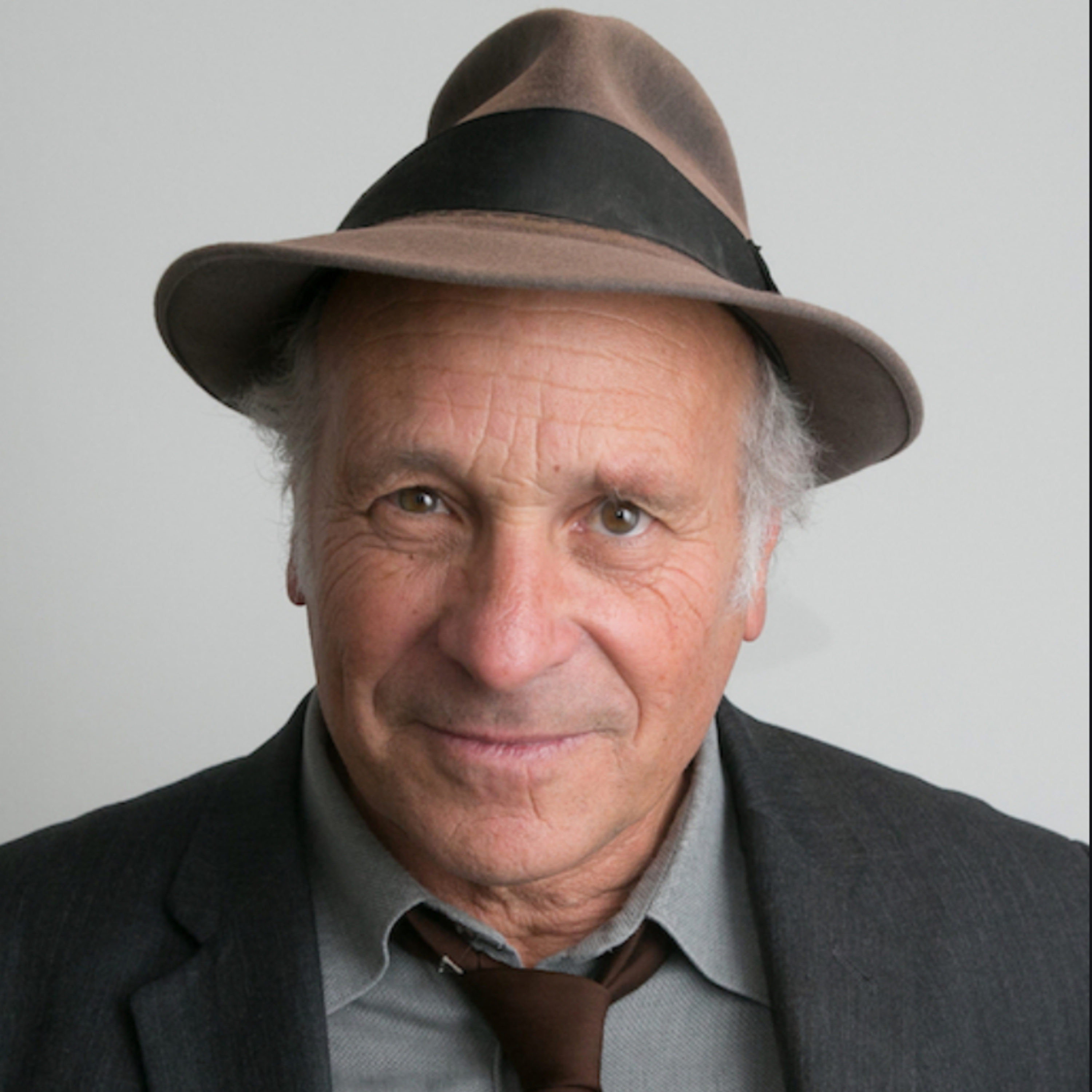 Is there any truth to President Trump's election fraud claims? (Greg Palast) episode artwork