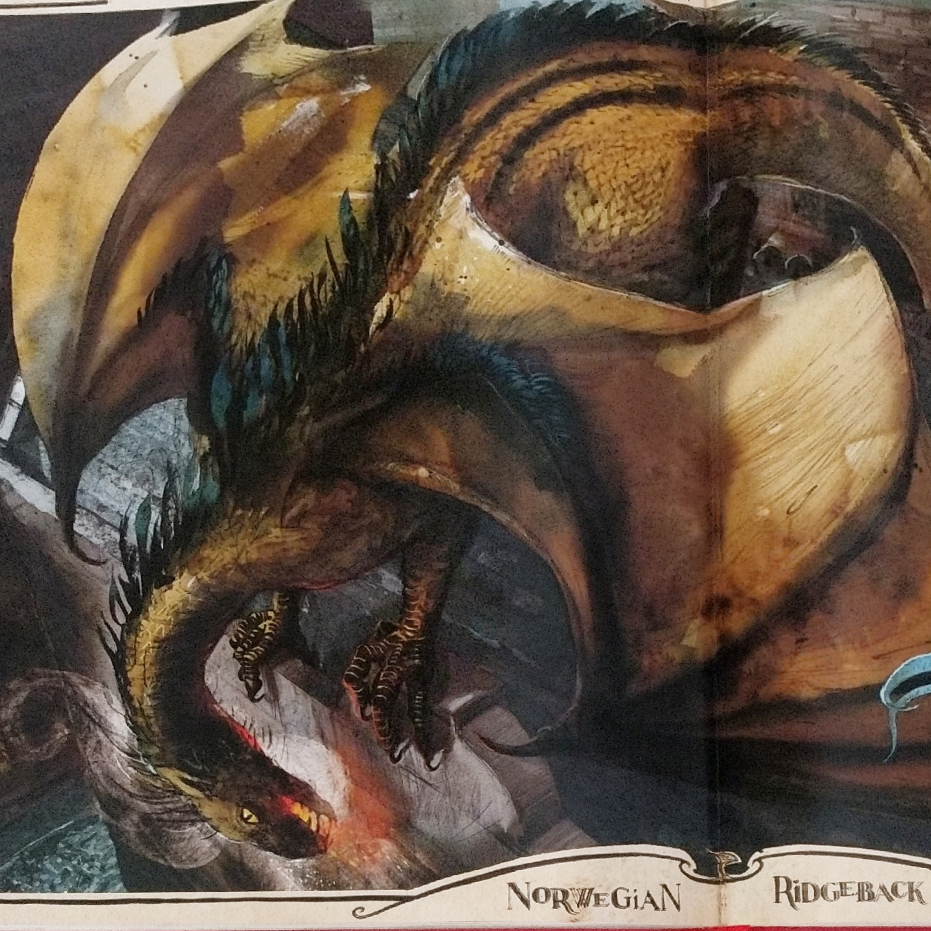 Sorcerer's Stone: Chapter 14. Norbert the Norwegian Ridgeback episode artwork