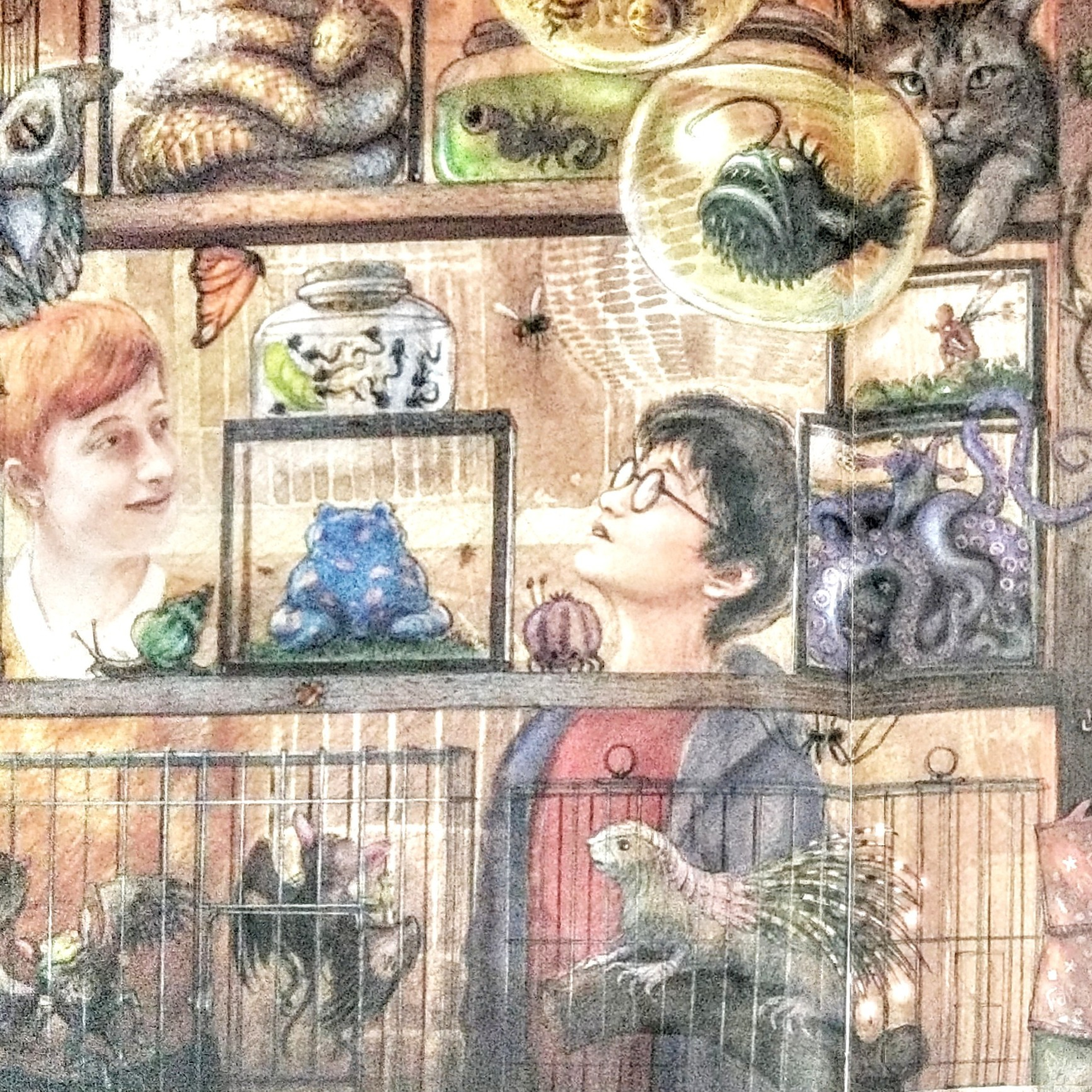 Prisoner of Azkaban: Chapter 4. The Leaky Cauldron episode artwork