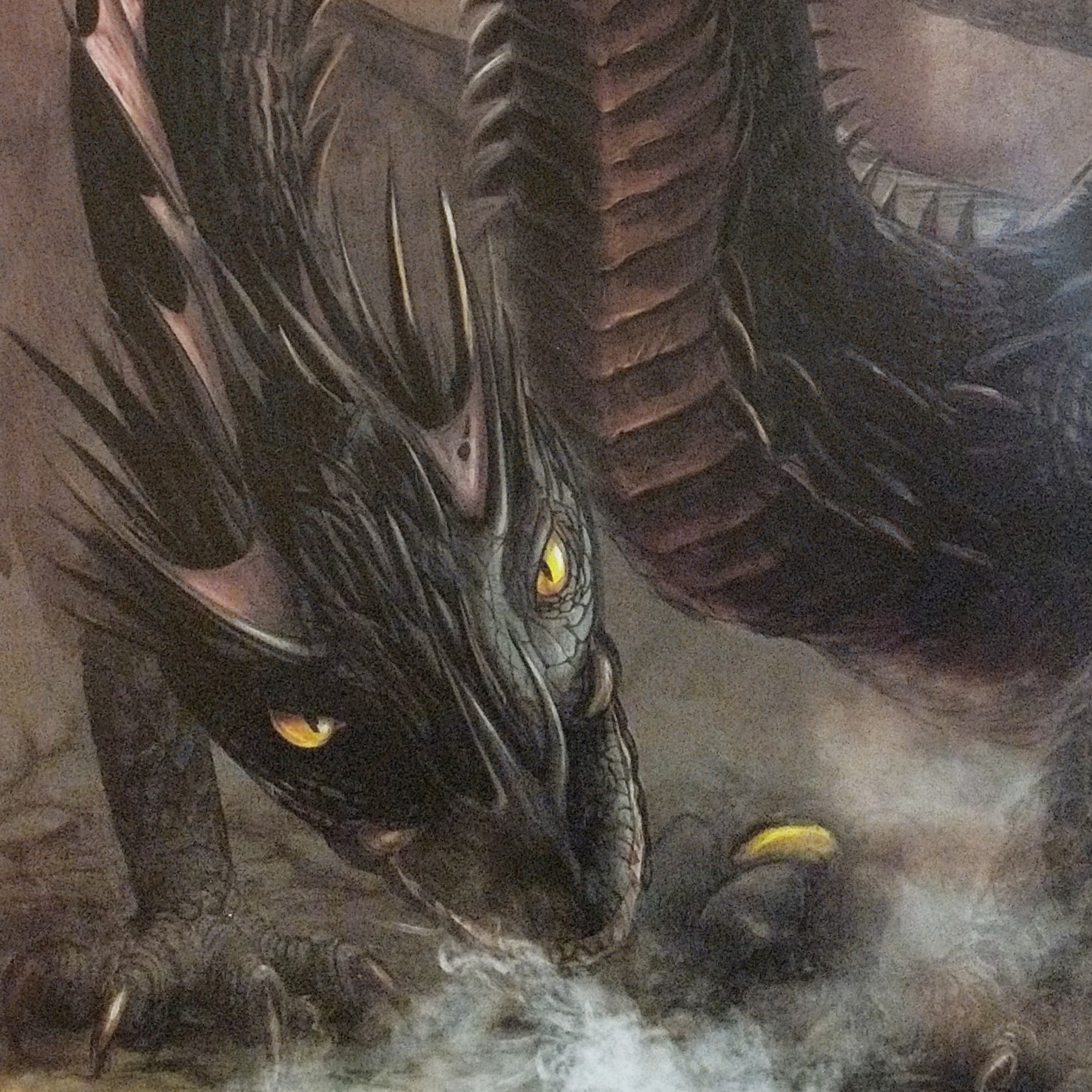 Goblet of Fire: Chapter 19. The Hungarian Horntail episode artwork