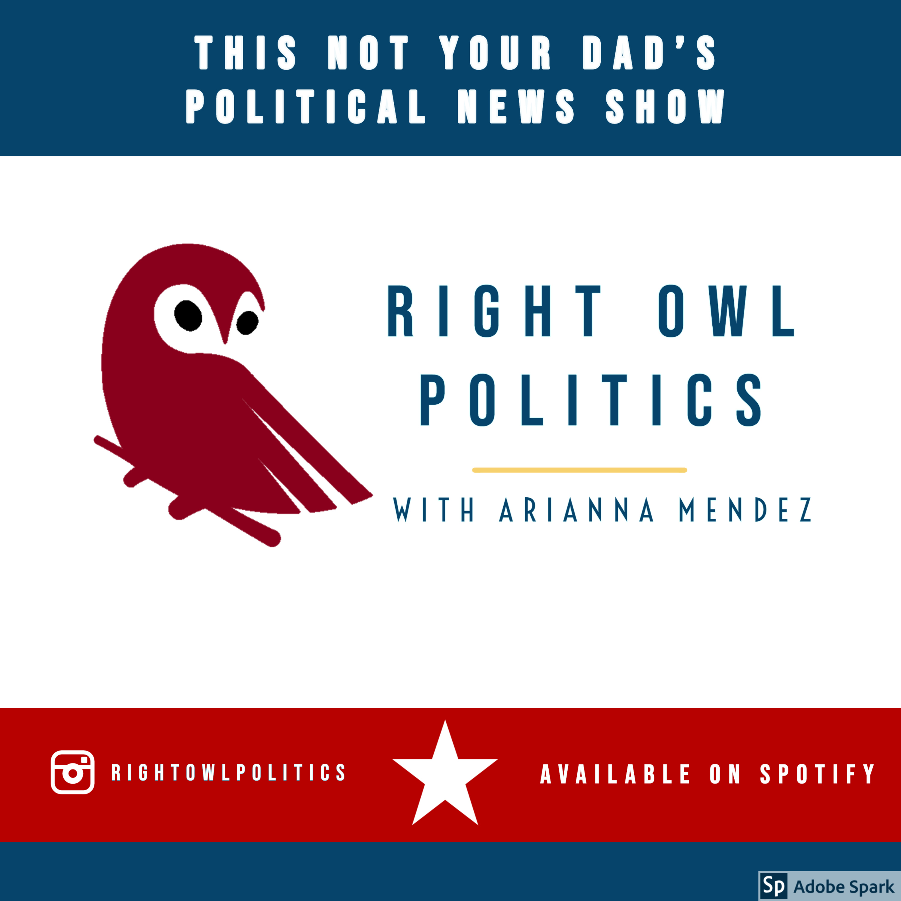 Right Owl Politics