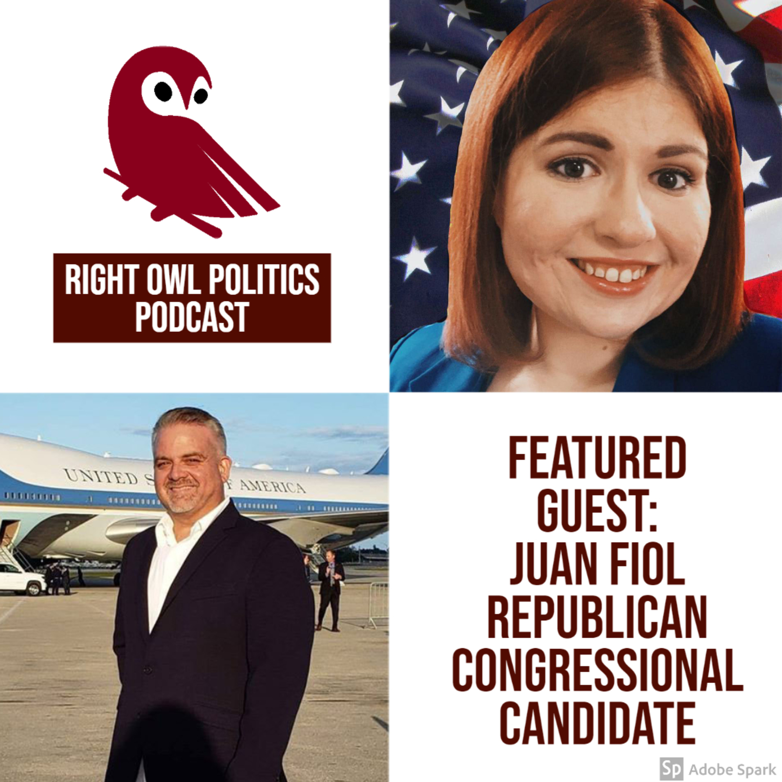 Right Owl Politics