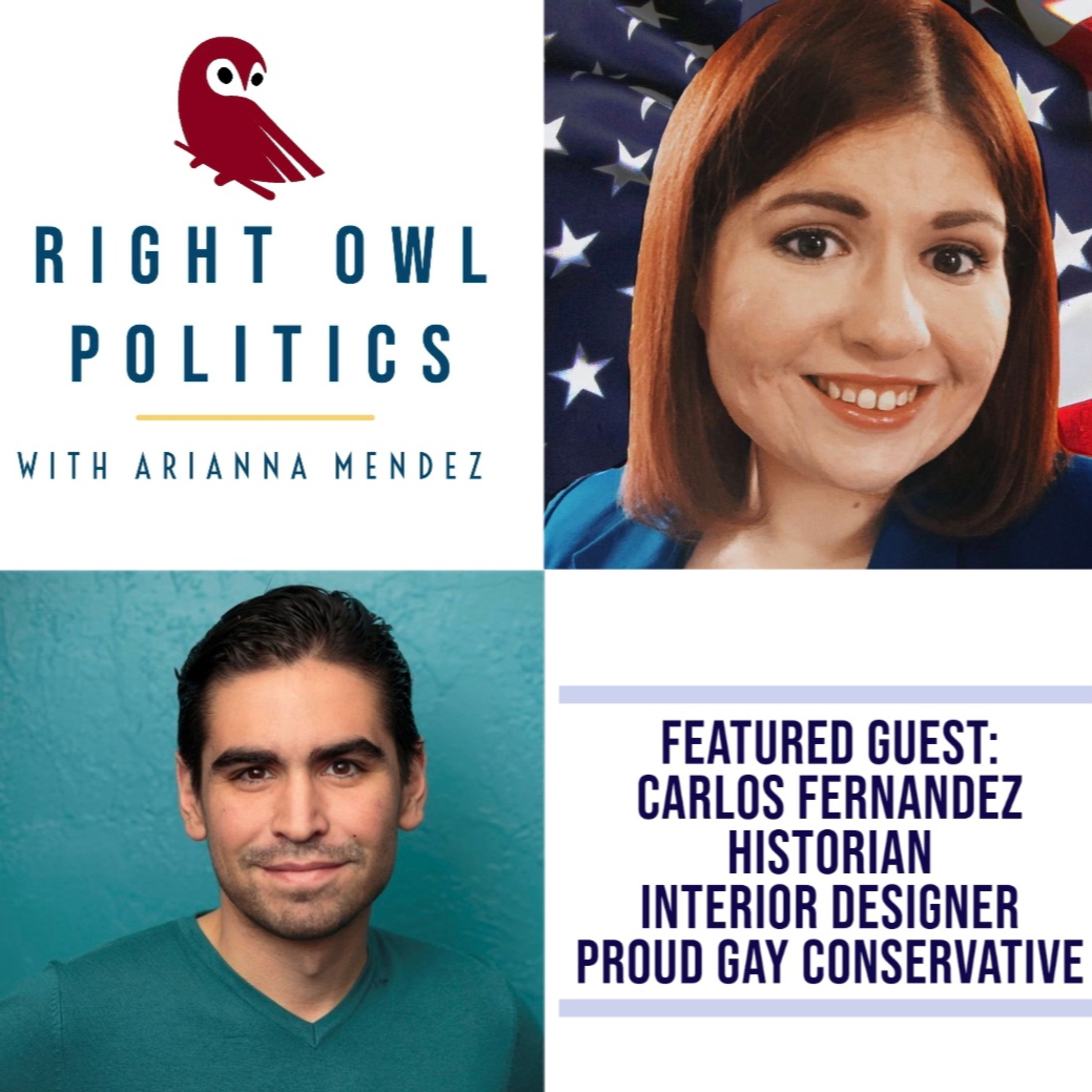 Right Owl Politics
