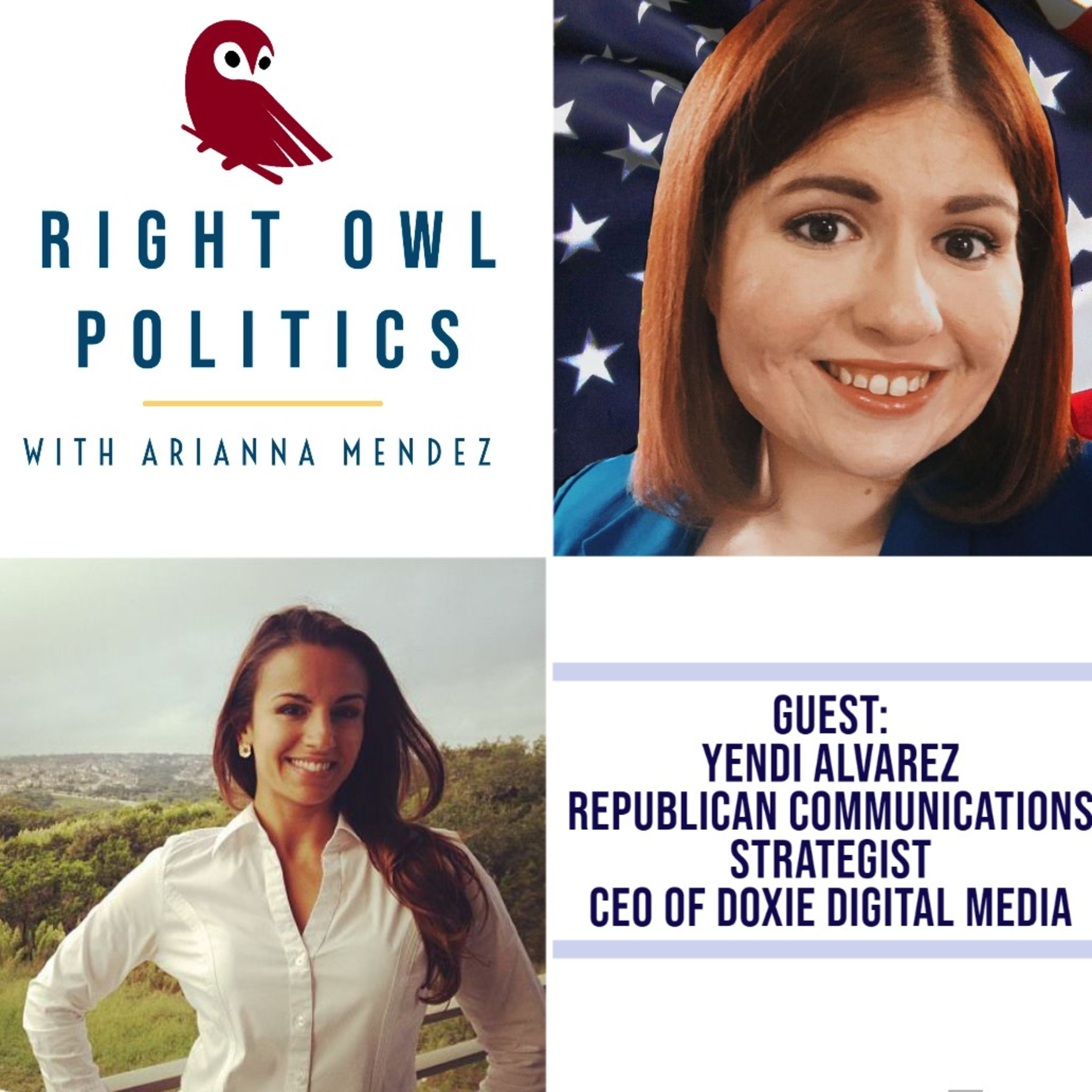 Right Owl Politics