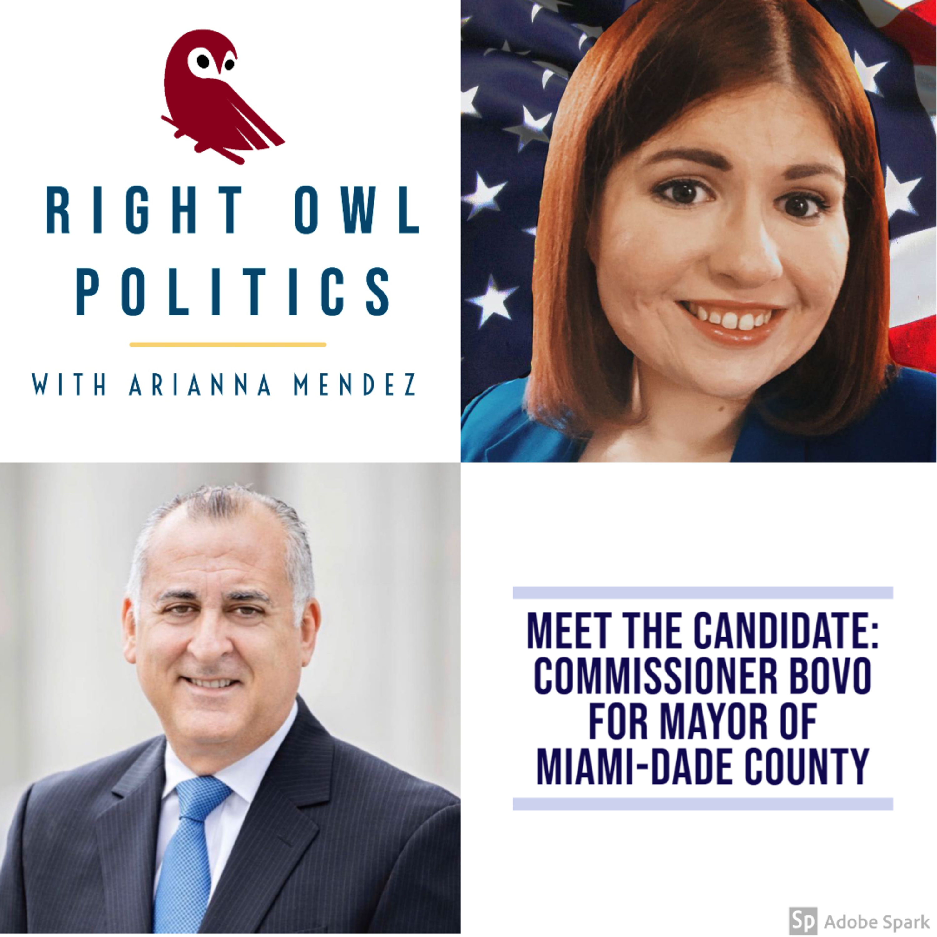 Right Owl Politics