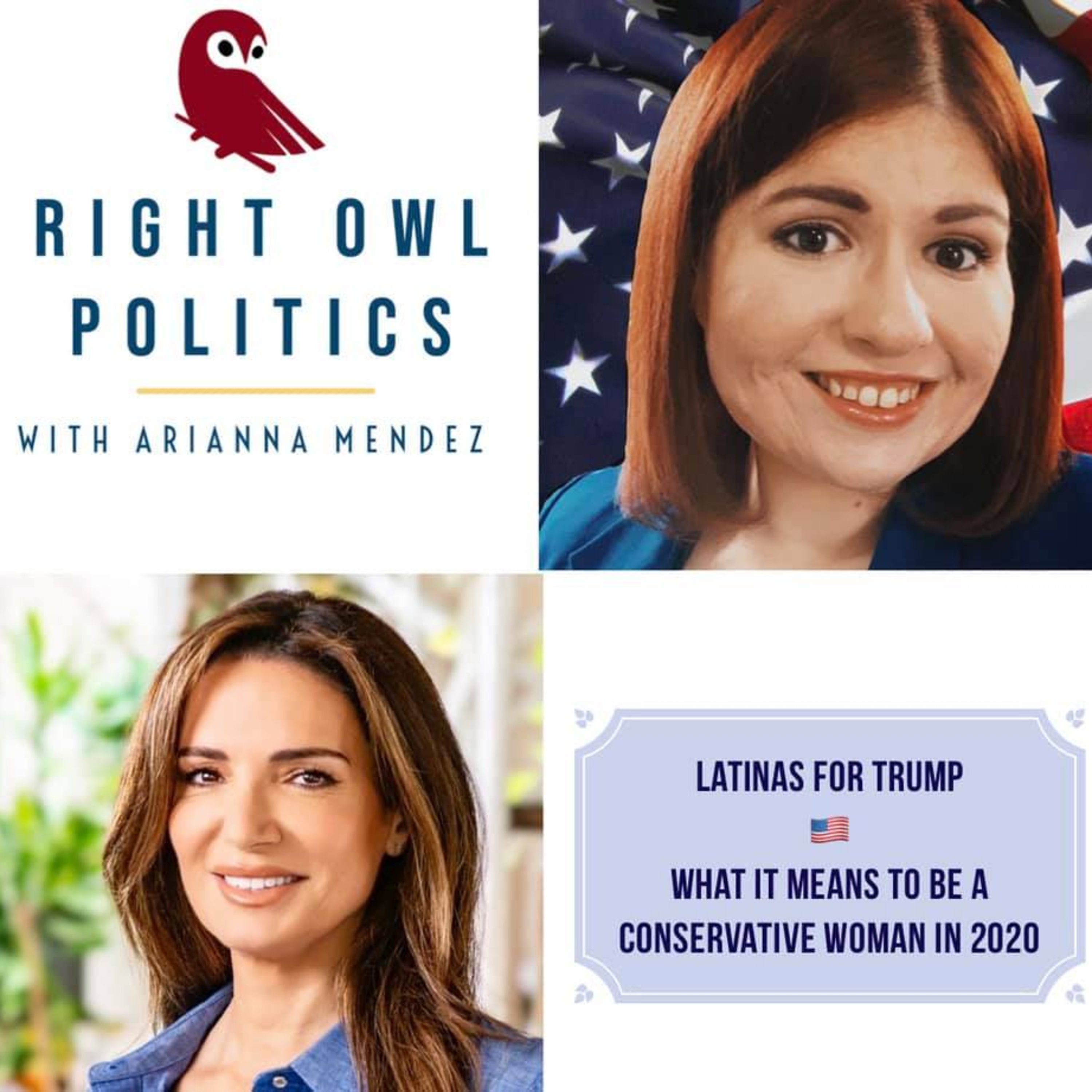 Right Owl Politics