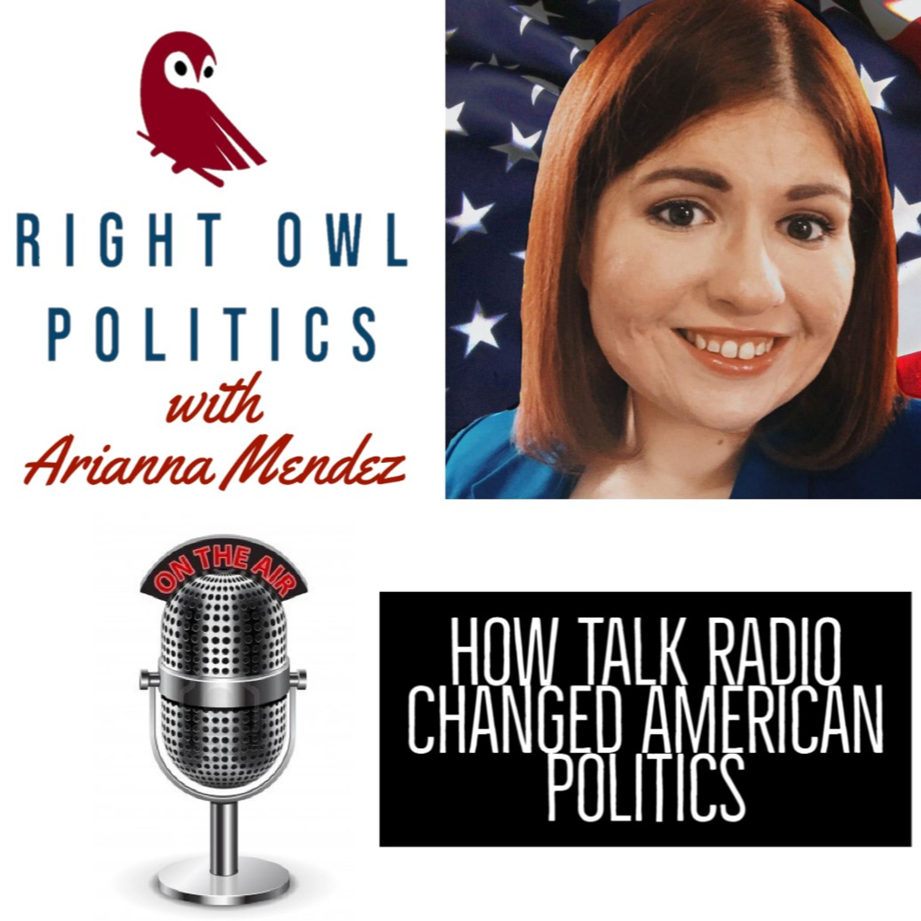 Right Owl Politics