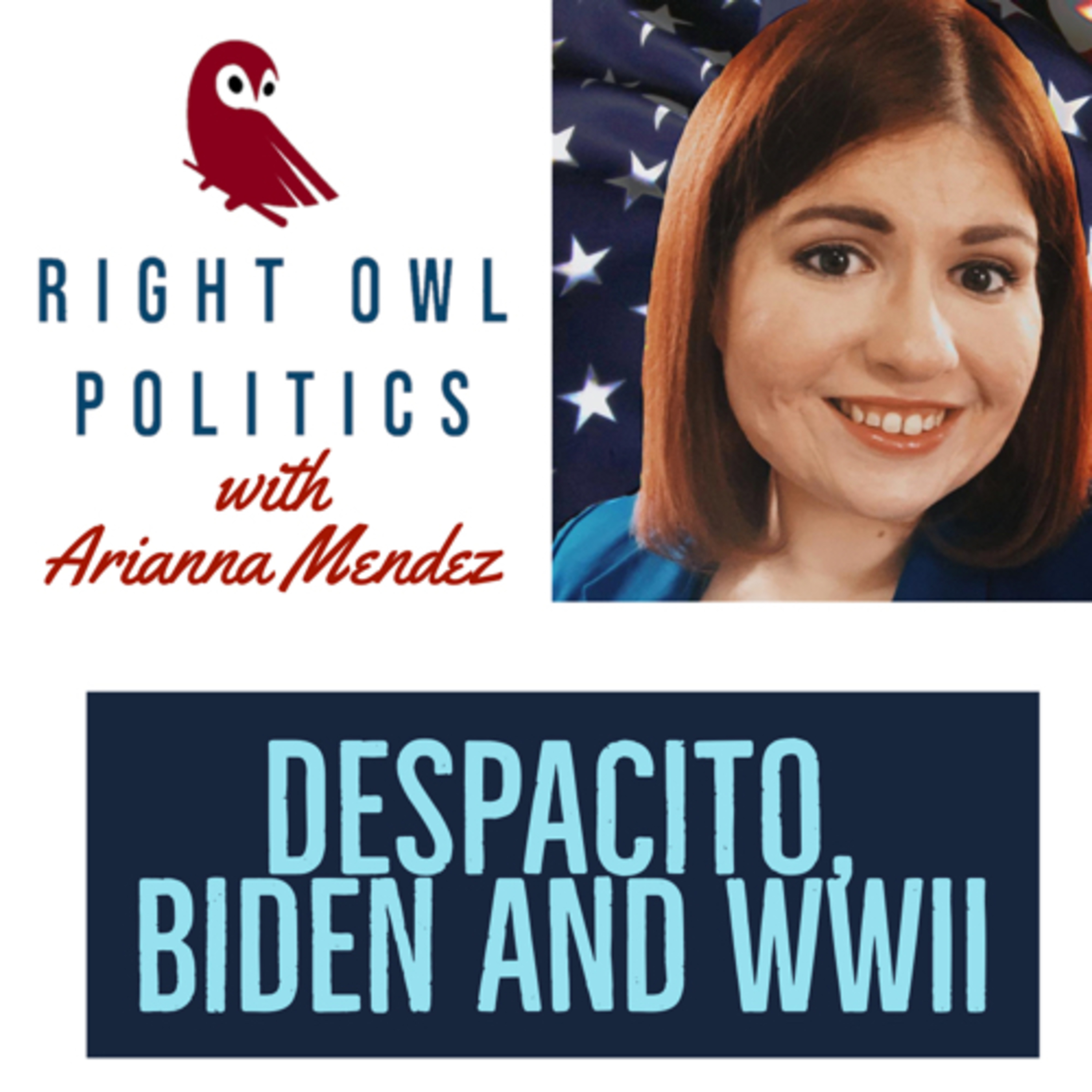 Right Owl Politics