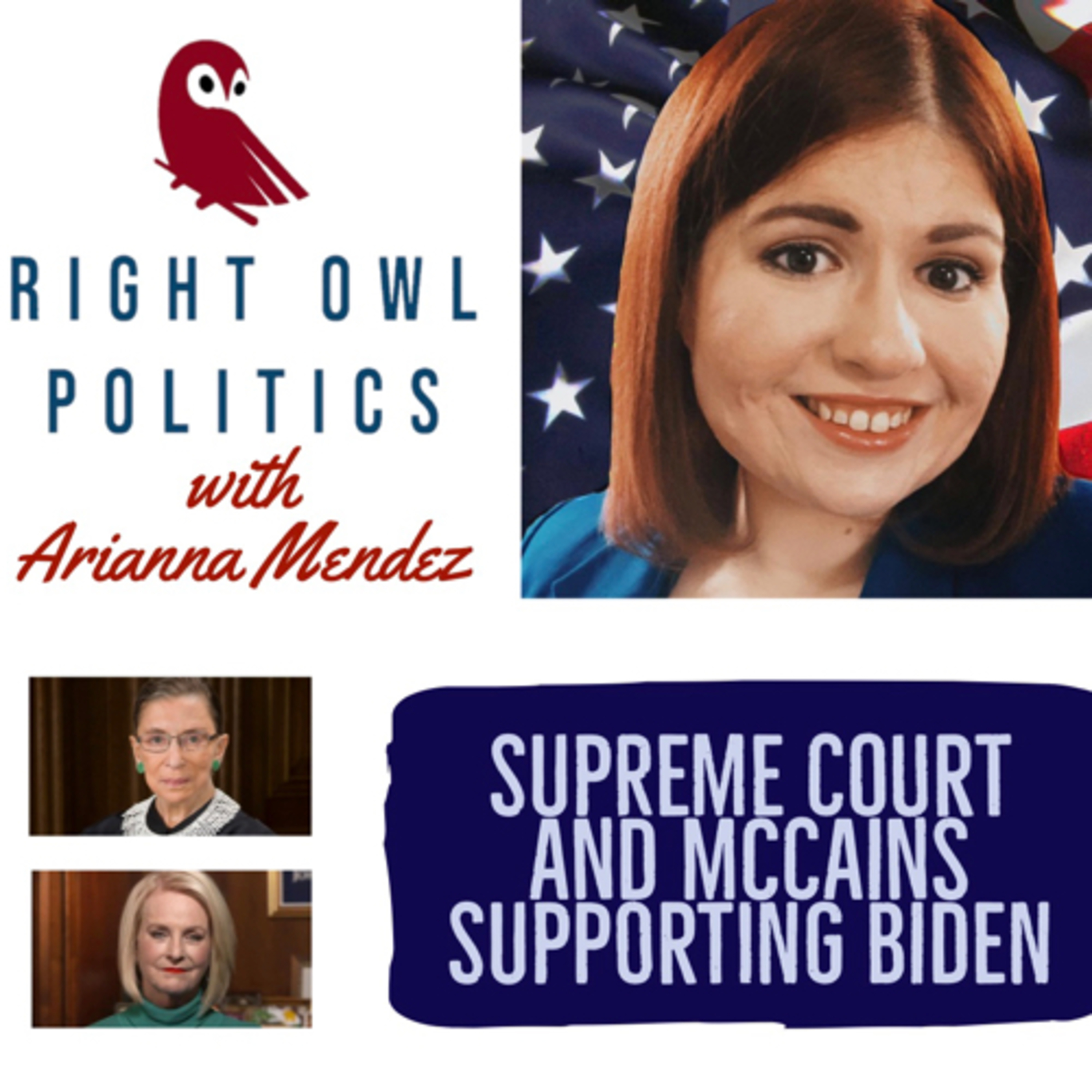 Right Owl Politics