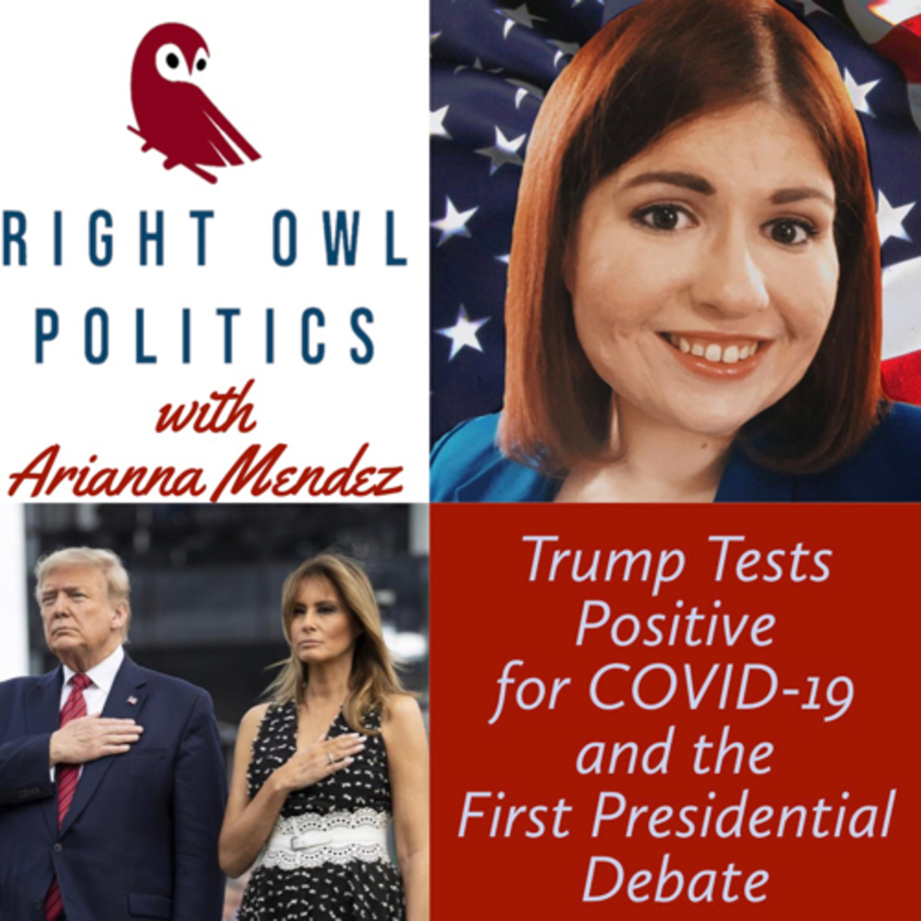 Right Owl Politics