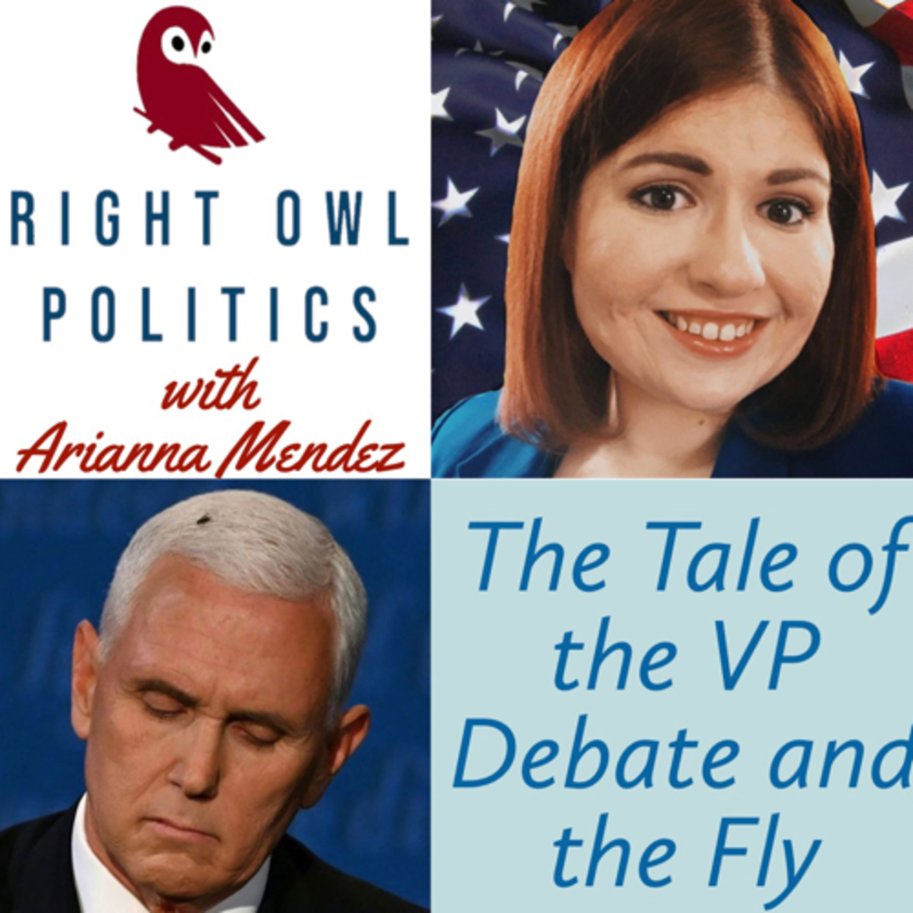 Right Owl Politics