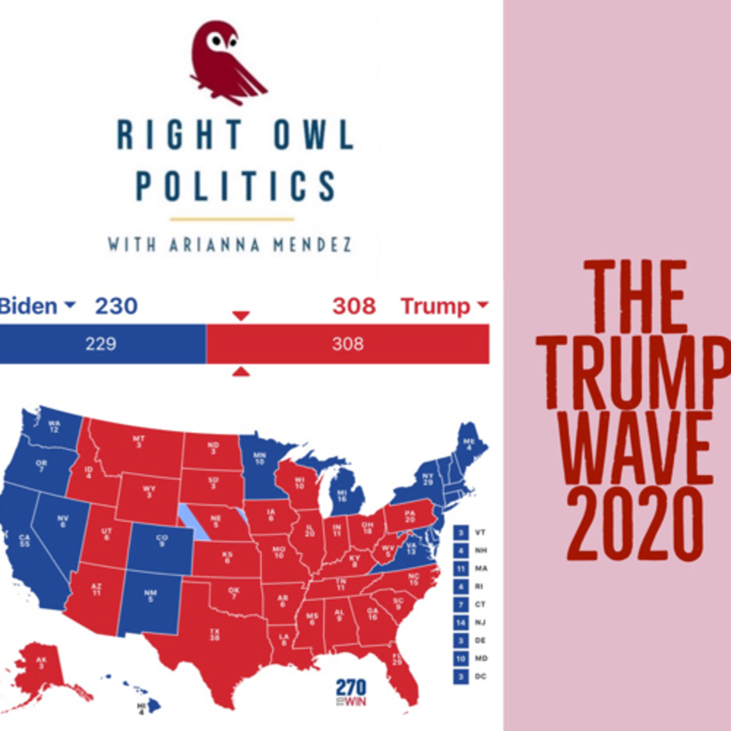 Right Owl Politics