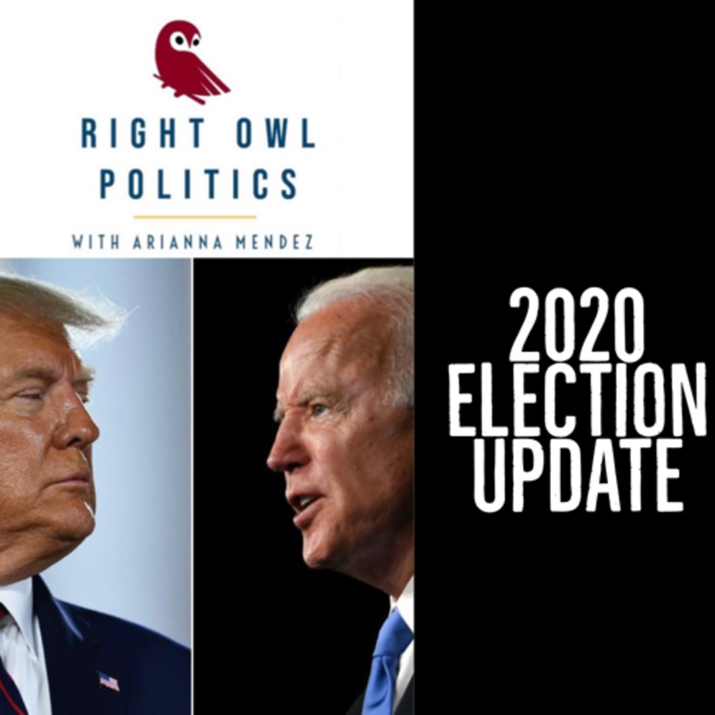 Right Owl Politics