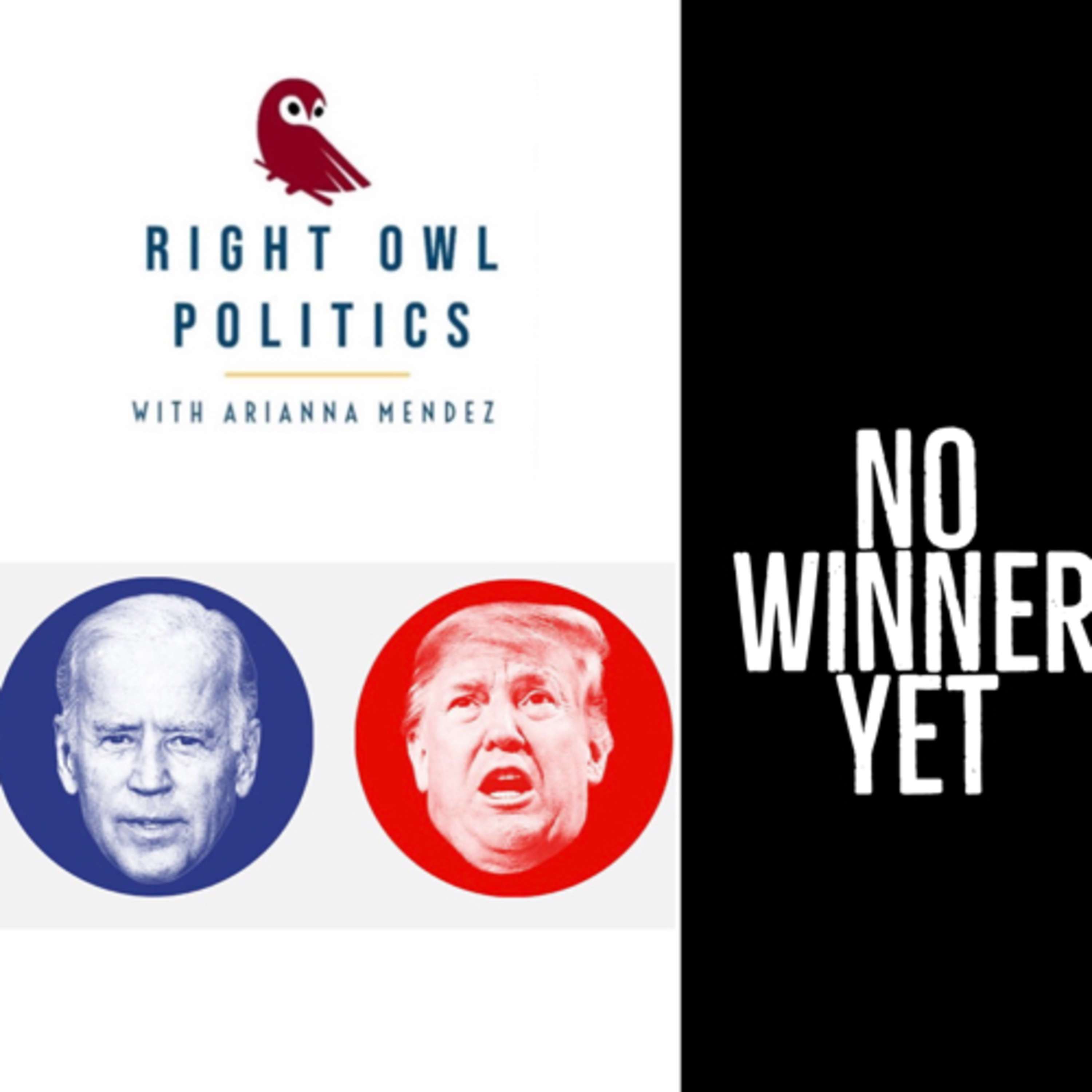 Right Owl Politics