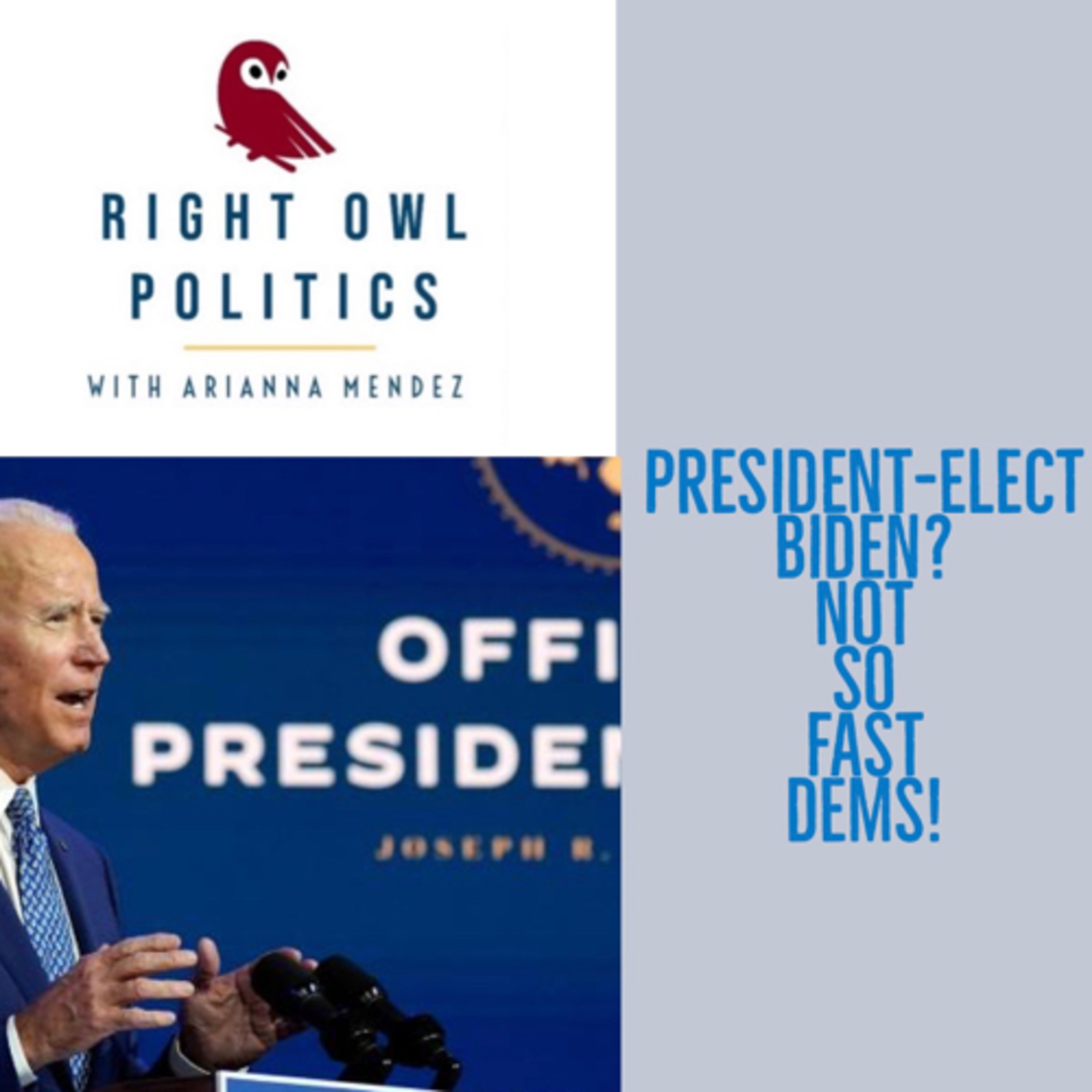 Right Owl Politics