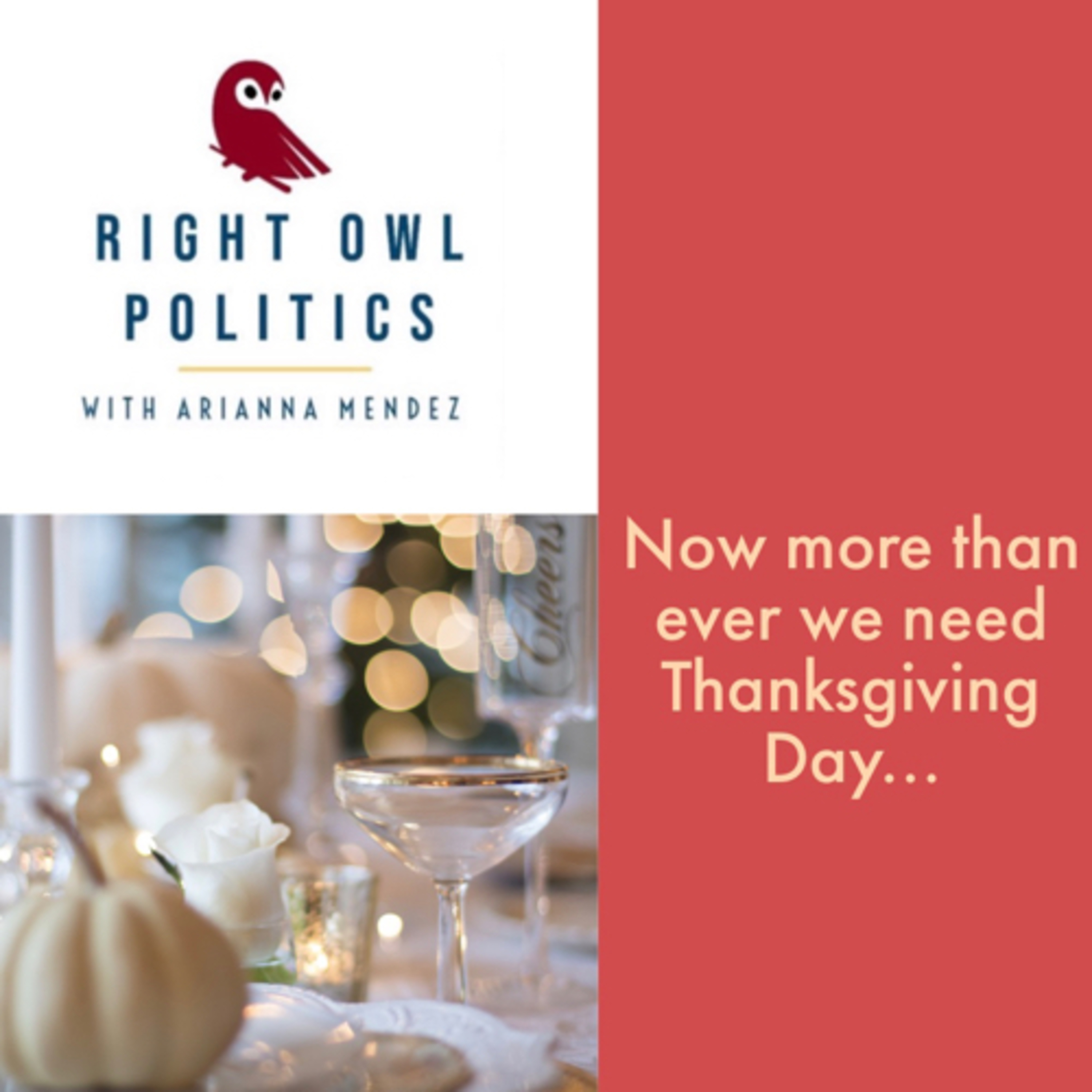 Right Owl Politics