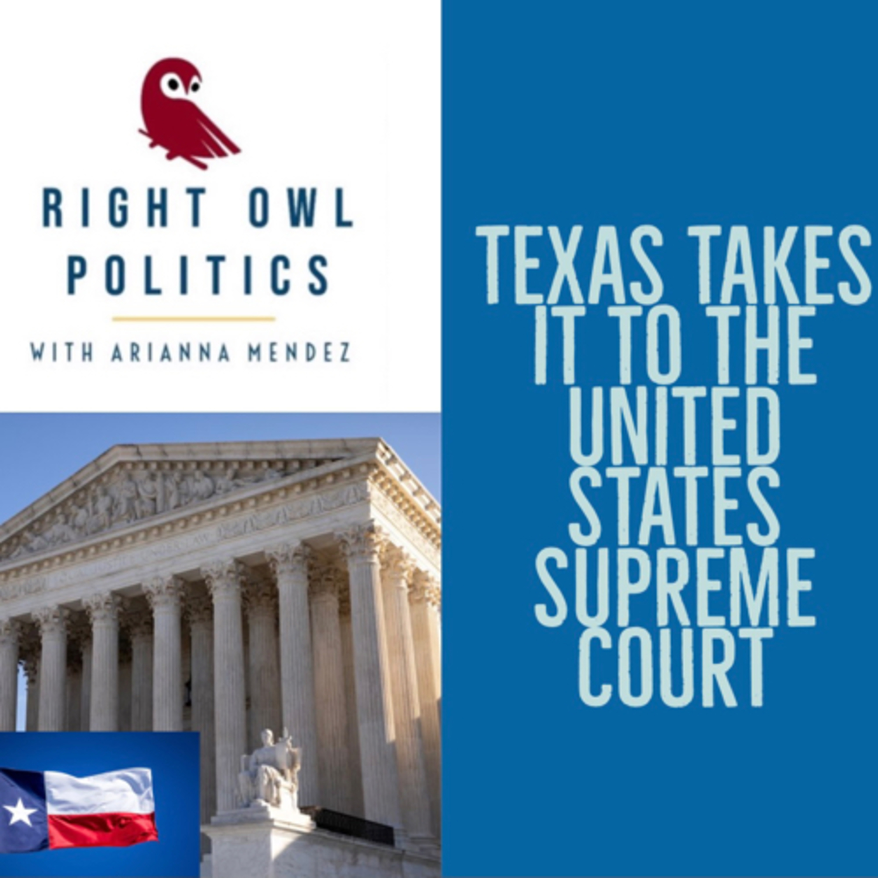 Right Owl Politics