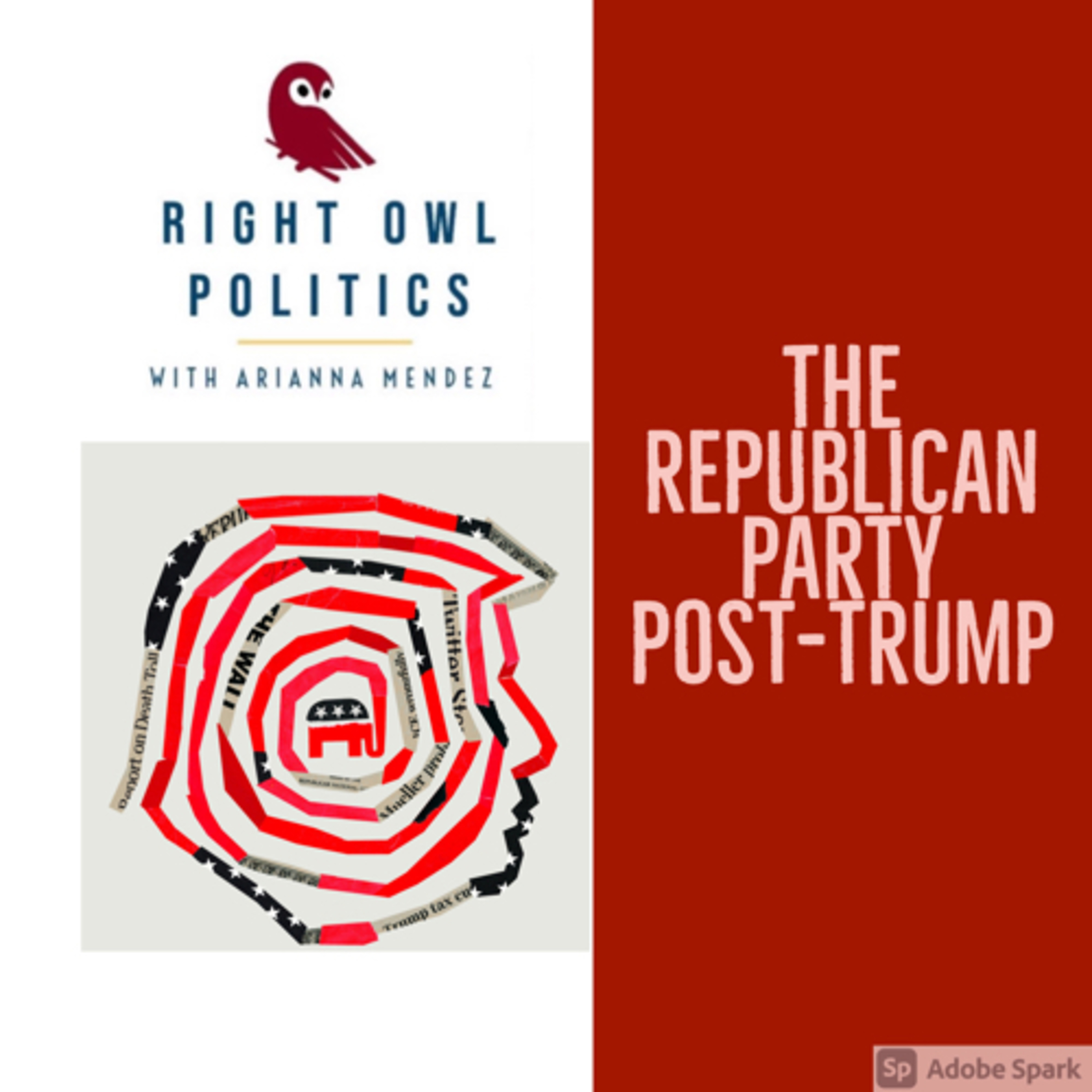 Right Owl Politics