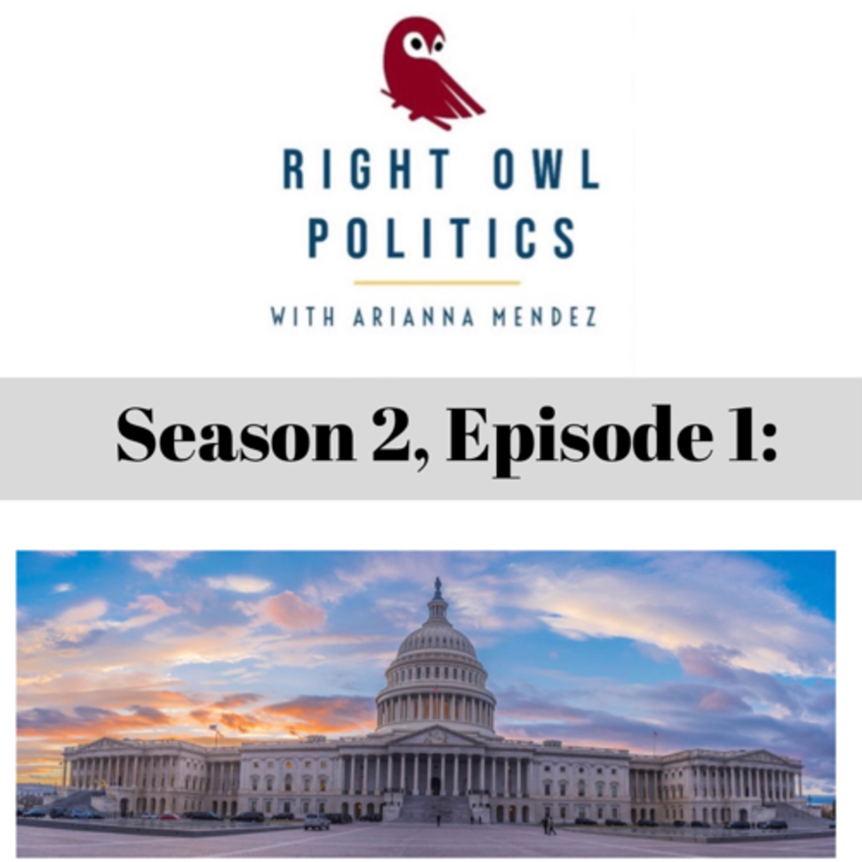Right Owl Politics