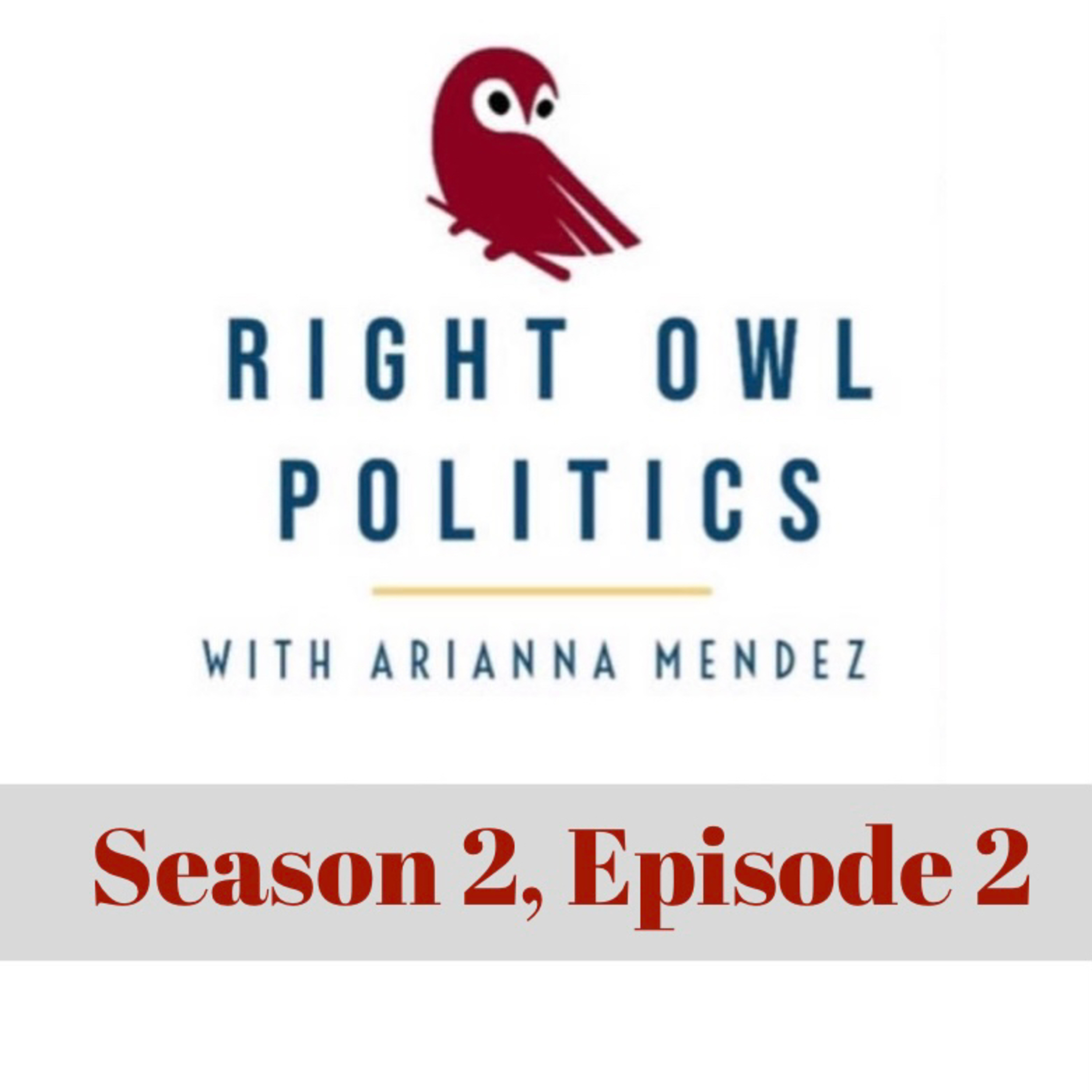 Right Owl Politics