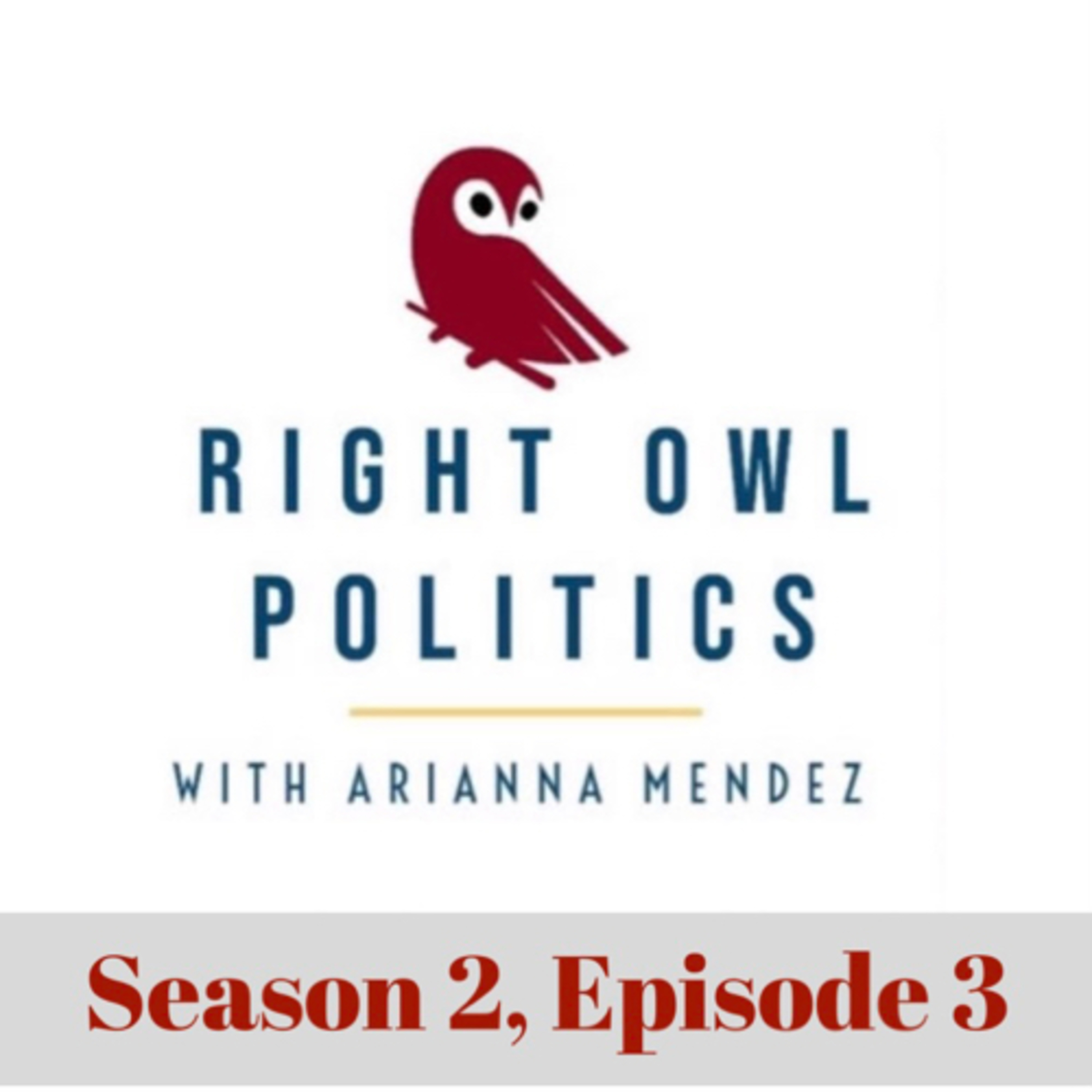 Right Owl Politics