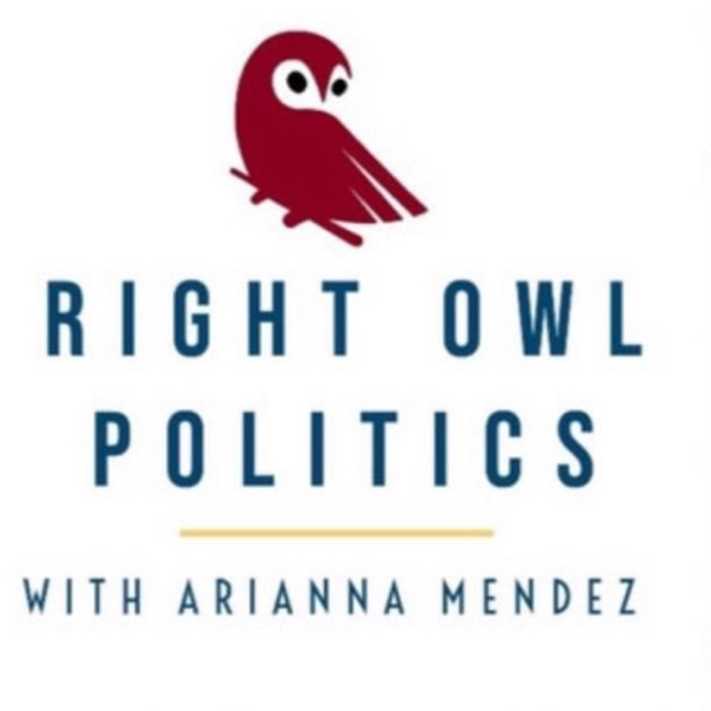 Right Owl Politics